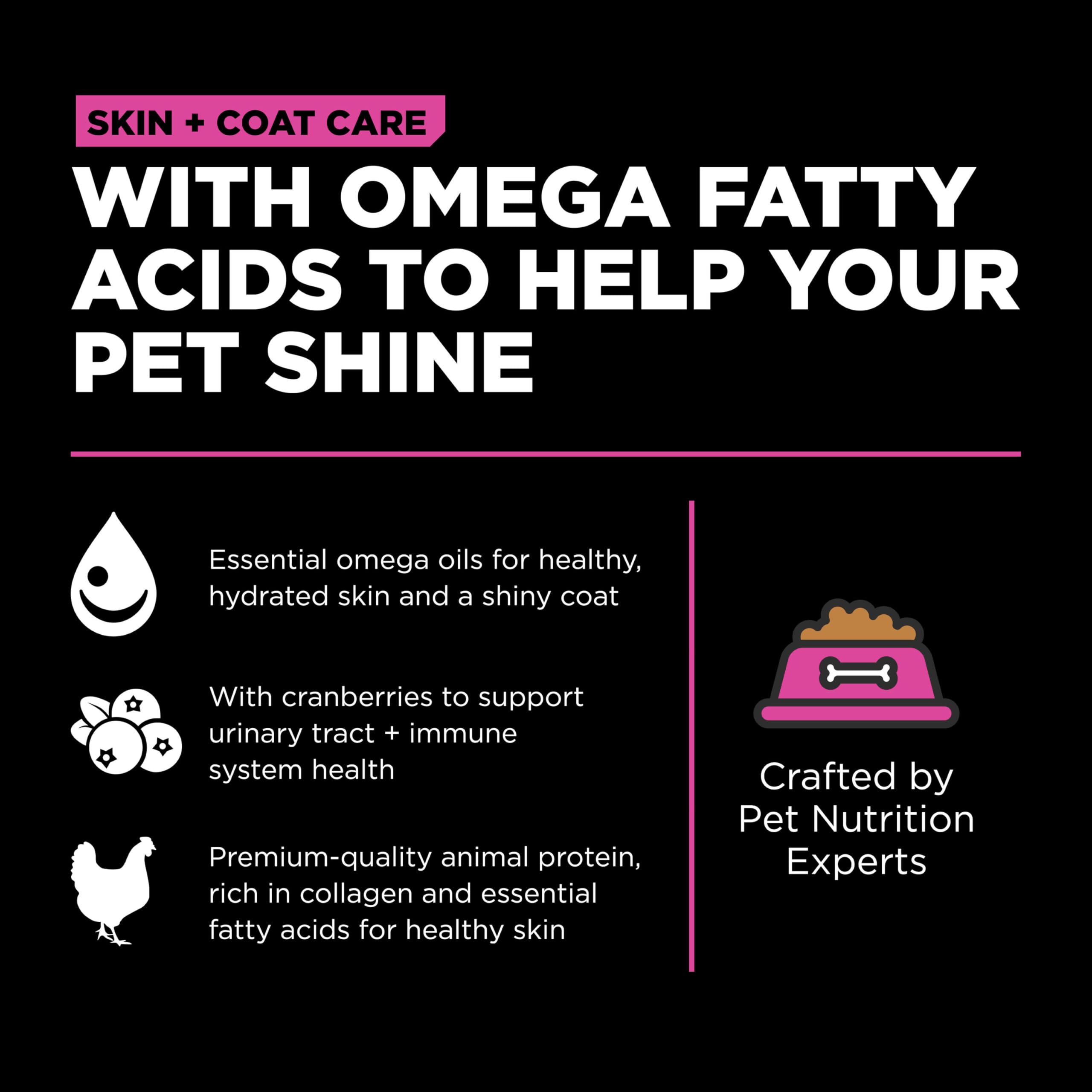 Go! Solutions Skin + Coat Care, Dry Cat Food, Chicken Recipe with Grains, 16 lb Bag