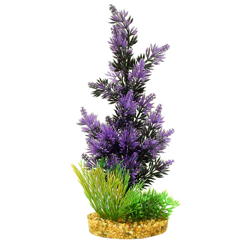 Blue Ribbon Vibran-Sea Color Burst Florals Gravel Base Pacifica Plant