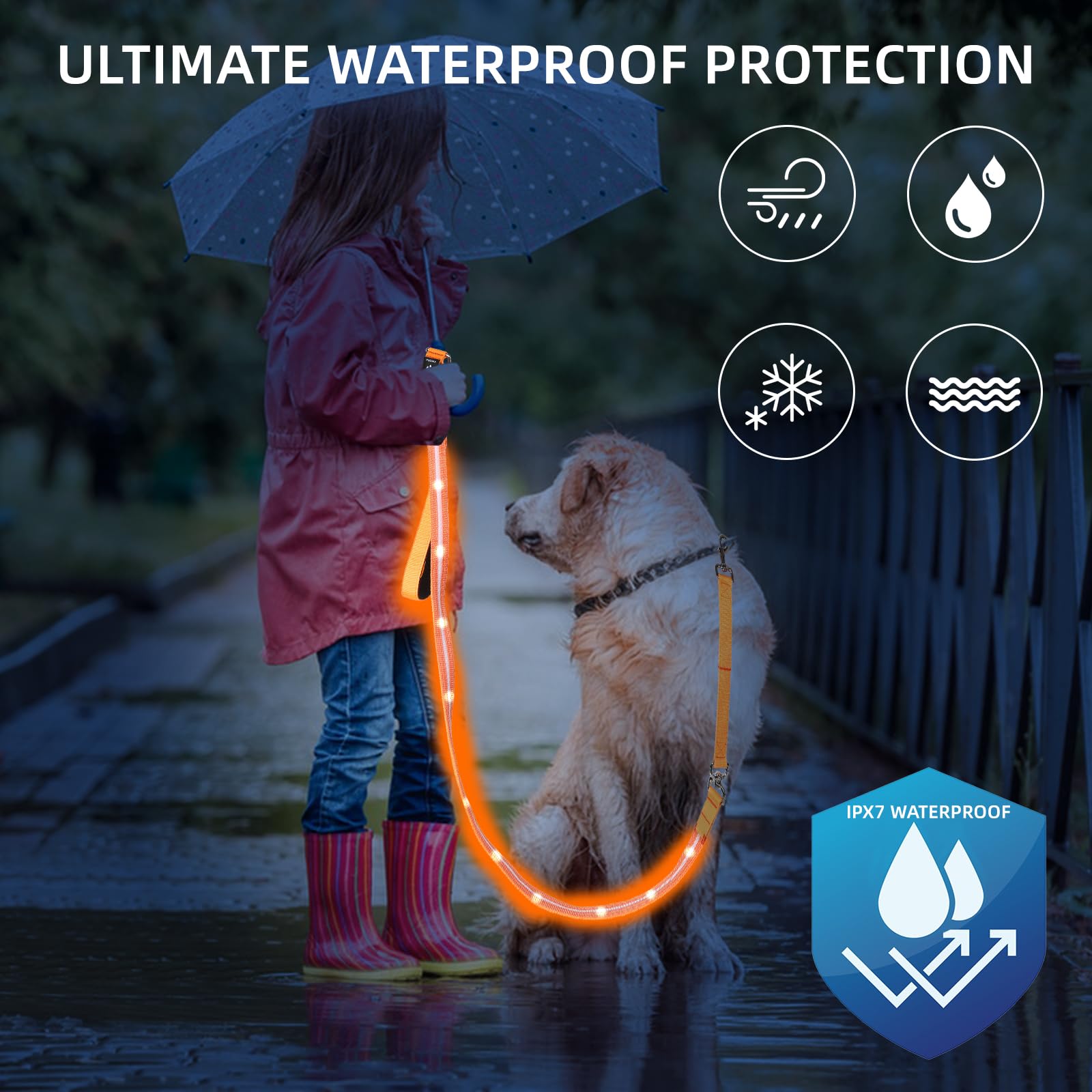 PetIsay LED Dog Leash - 6Ft Waterproof, USB C Rechargeable, Purple - Light up Leash for Night Walking with Flashlight