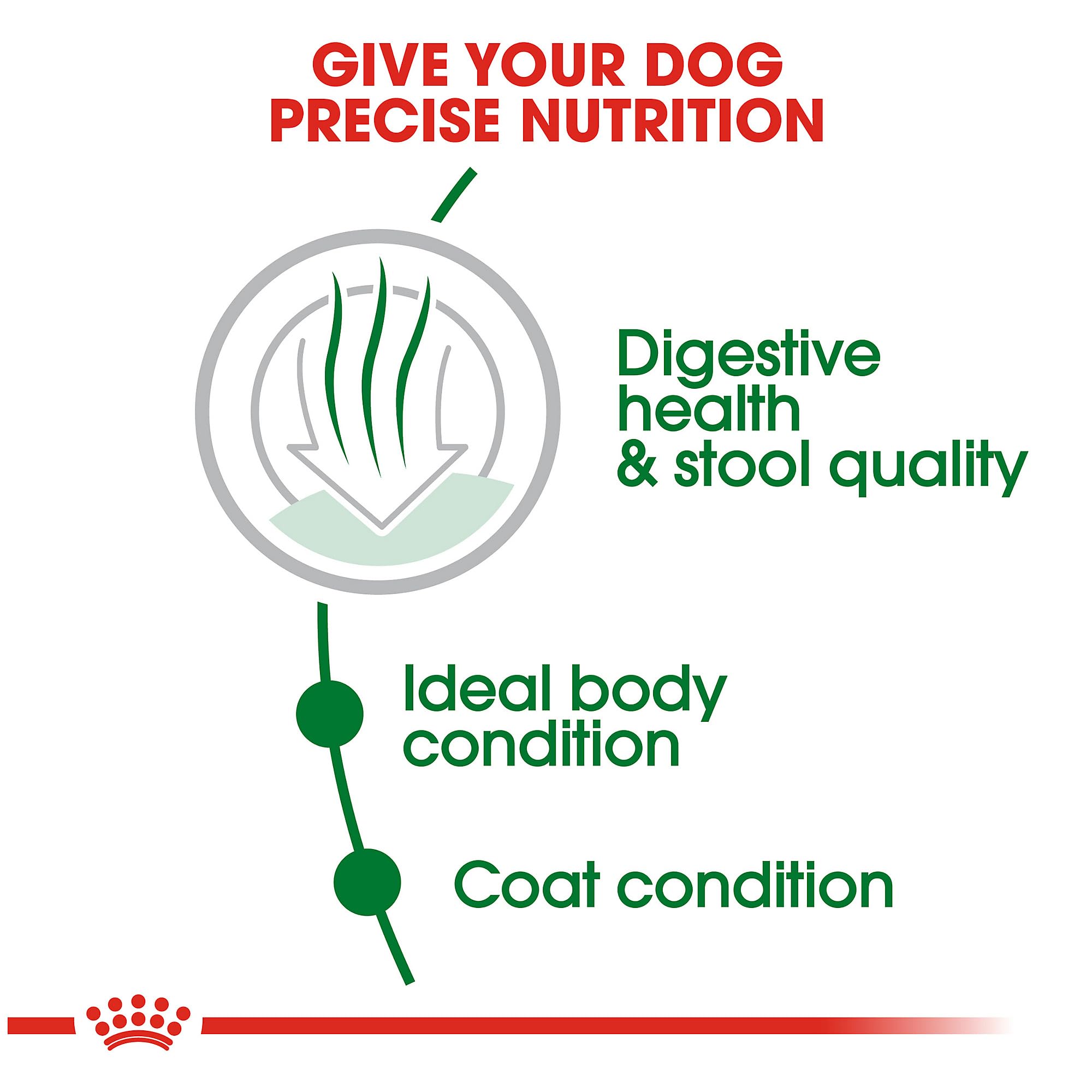 Royal Canin Size Health Nutrition Small Indoor Adult Dry Dog Food, 2.5 lb Bag