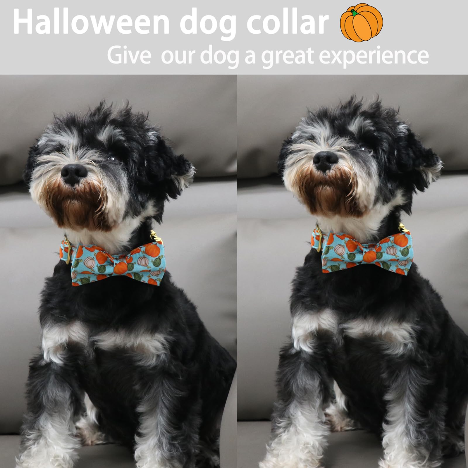 Aring Pet Halloween Dog Collar Cotton Pumpkin Dog Collar With Bow, Adjustable Blue Pumpkin Dog Collars Puppy Collars With Metal