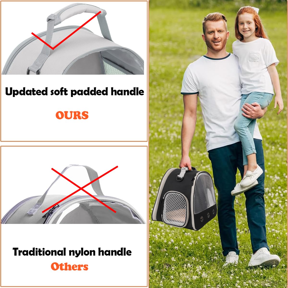 Ventilation Lizard Carrier for Bearded Dragon,Guinea Pig Carrier,Guinea Pig Carrier for 2,Reptile Travel Carrier for Lizards Sug