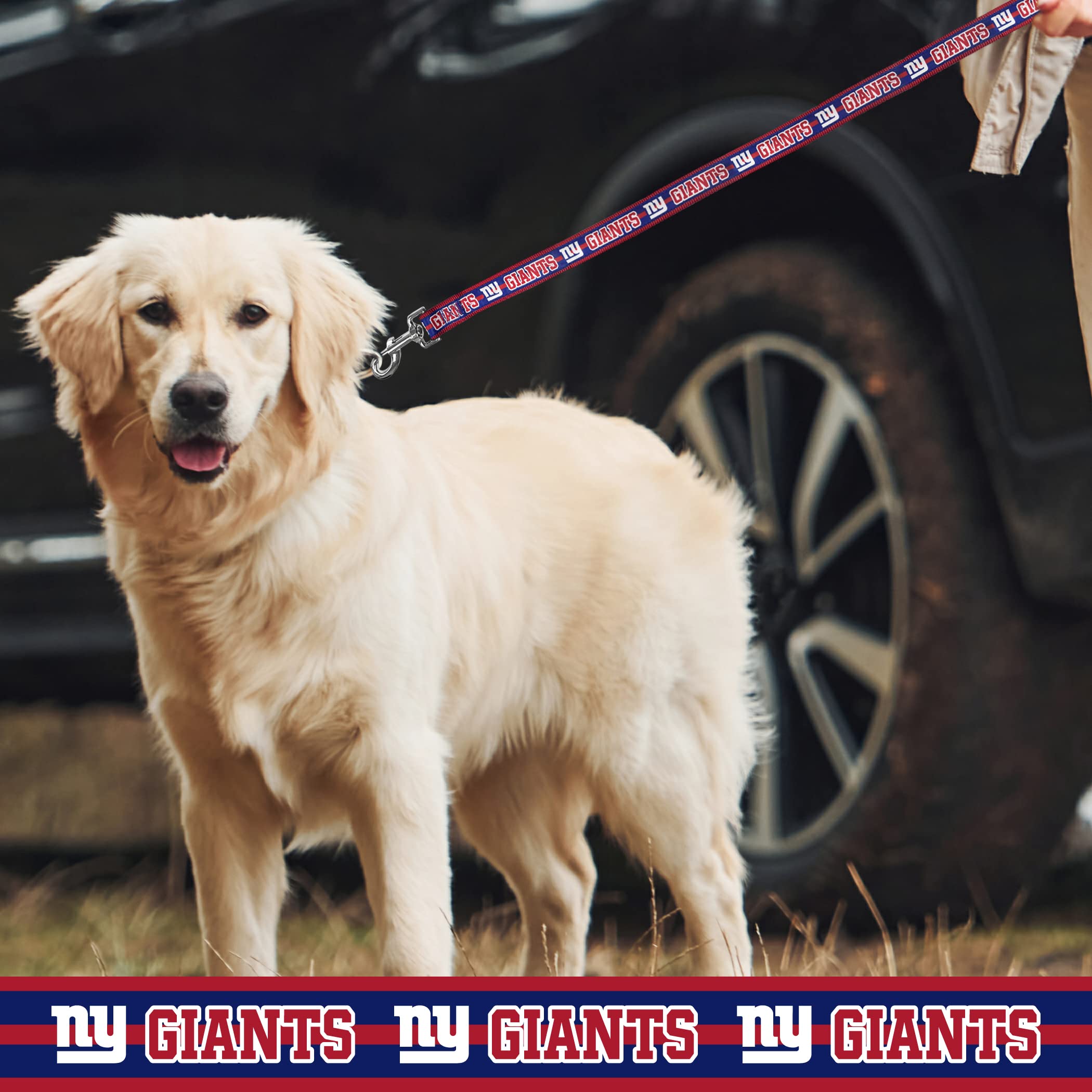 Nfl Pet New York Giants Dog Leash, Small Football Team Leash For Dogs & Cats - Shiny & Colorful, Licensed By The Nfl