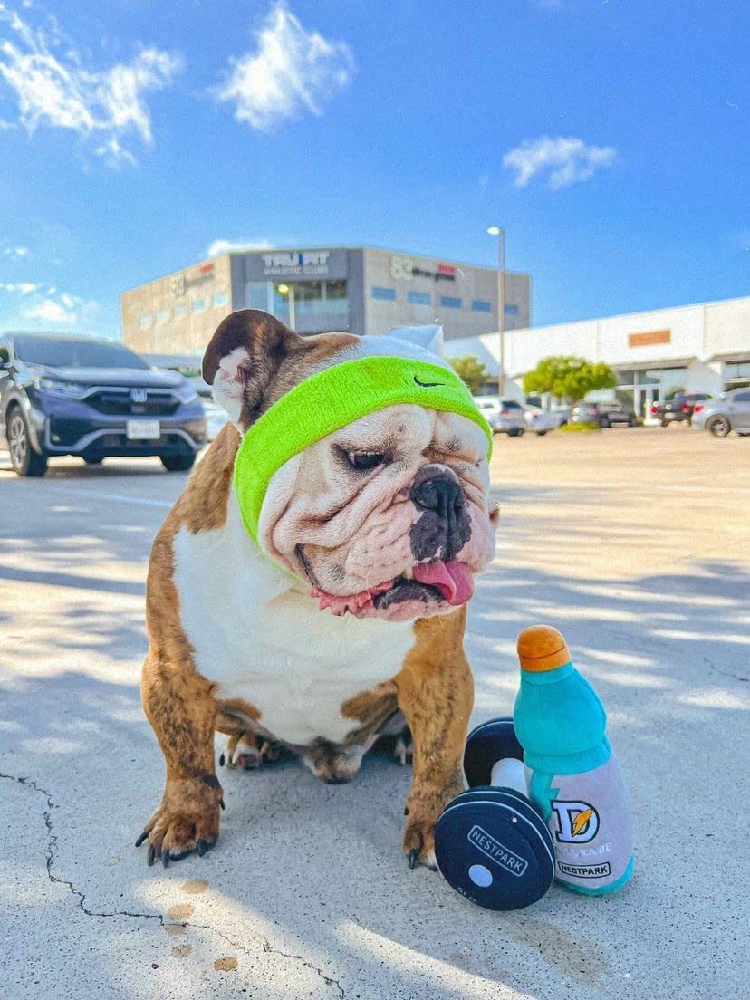 Nestpark Fitness Funny Dog Toys - Doggyade And Doggy Dumbbell Workout Parody Cute Dog Toys - 2 Pack (Workout Pack)