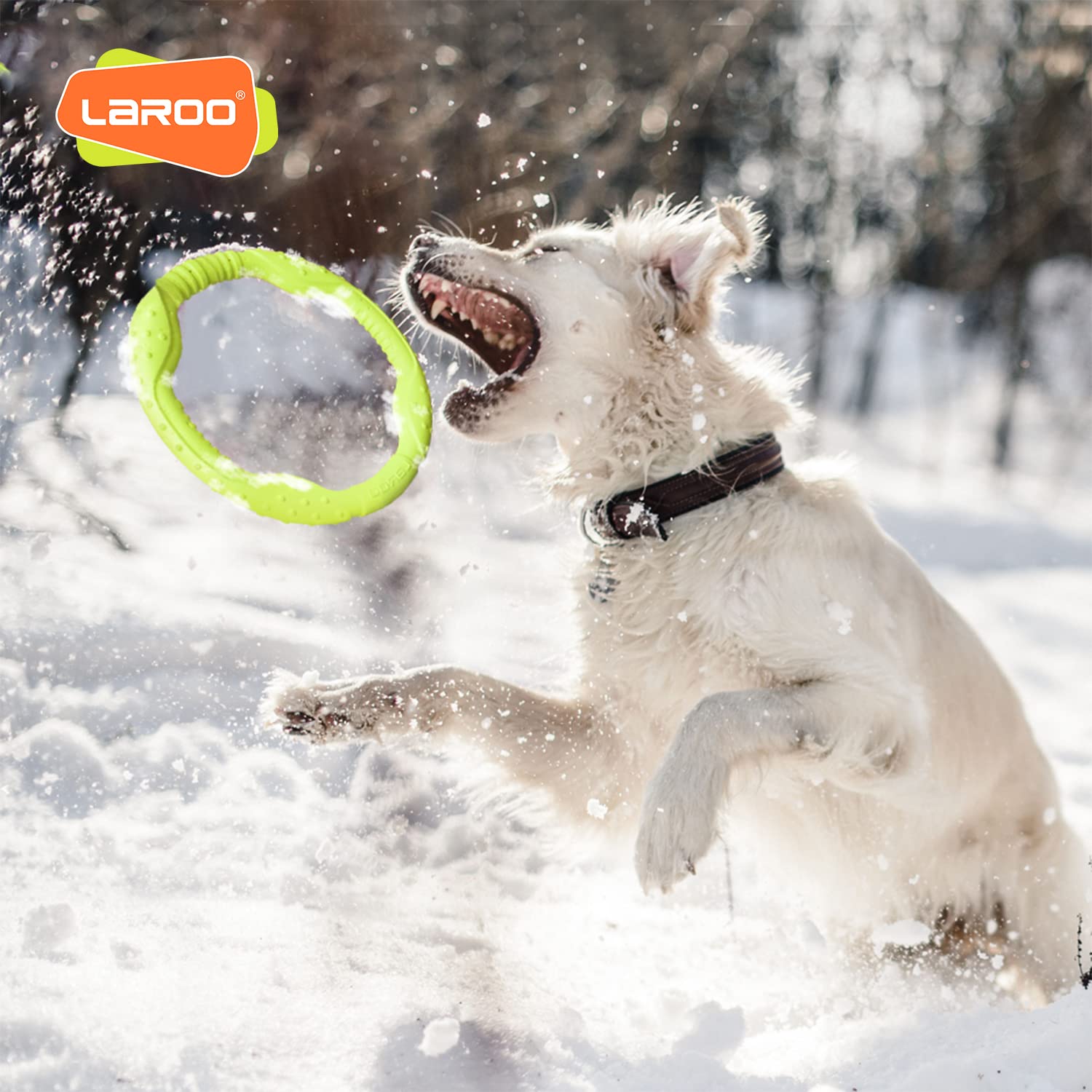 Laroo Dog Flying Ring Toys,Floating Flying Dog Disc Toys,Summer Pet Training Outdoor Durable Chew Toys For Medium And Large Dogs (Large Green/30Cm)