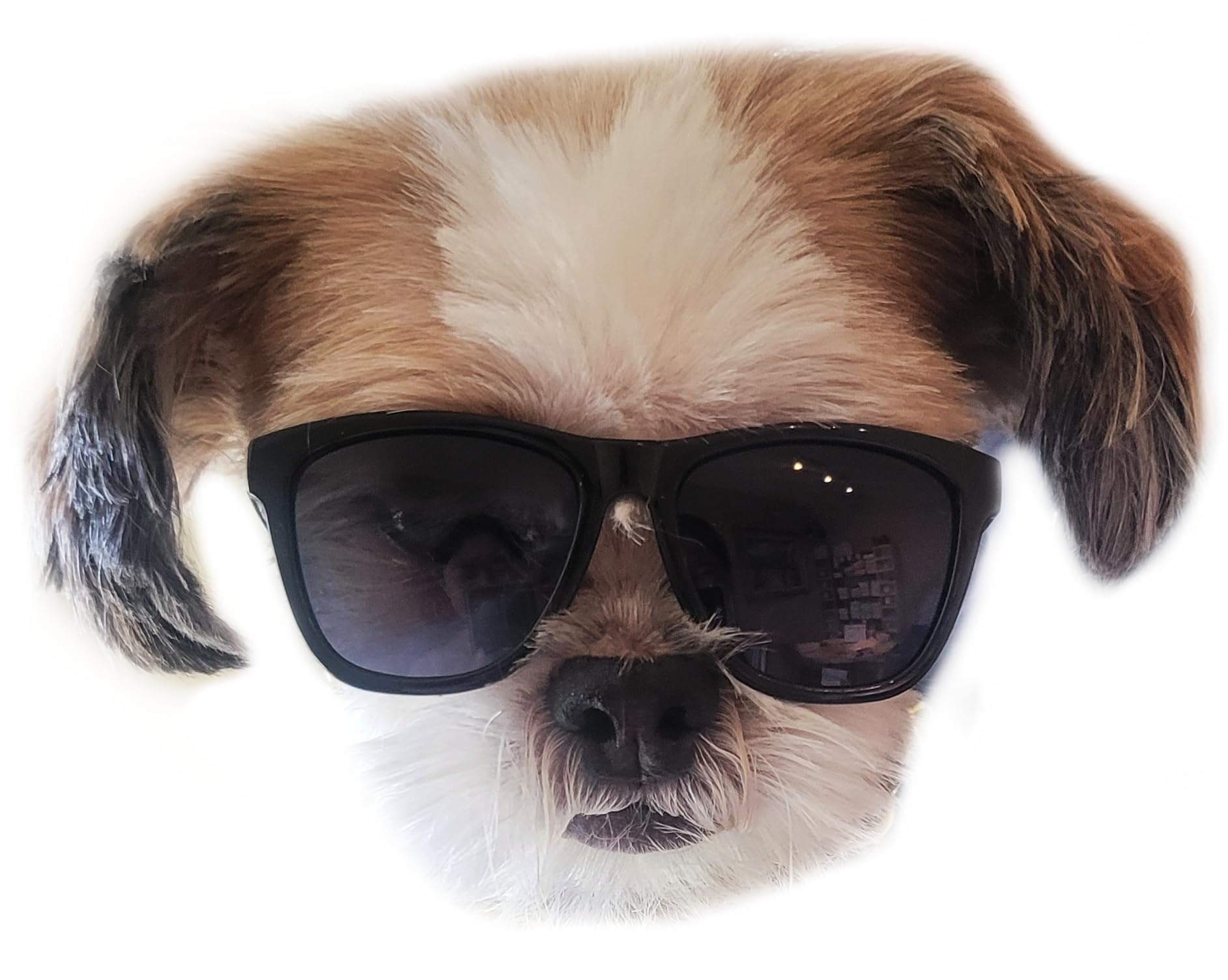 G014 Dog Small Breed Up To 15Lbs Pet Cat Puppy 80S Retro Sunglasses (Black)