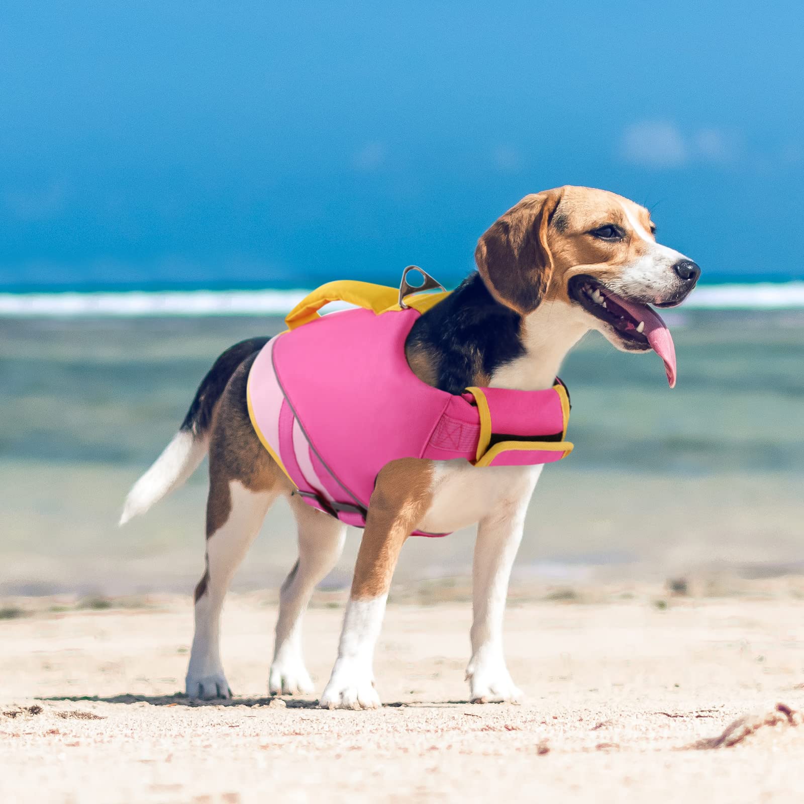 Queenmore Dog Life Jacket,Dog Life Vest For Swimming Boating,Life Jackets For Small Medium Dogs,Ripstop Pet Life Vests With Stro