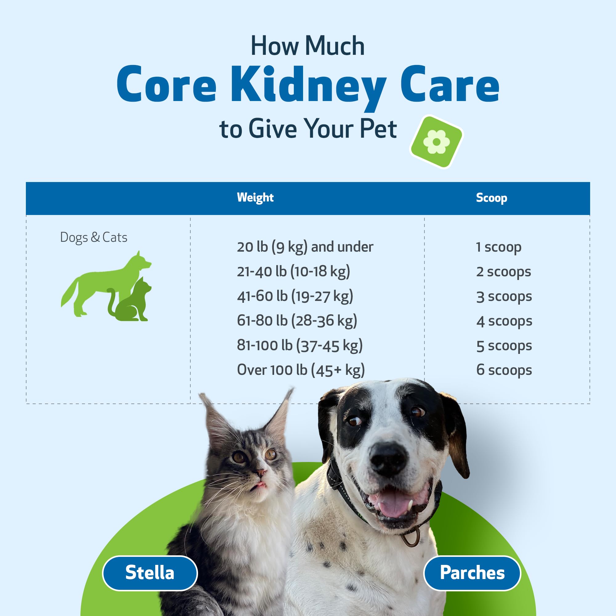 Pet Wellbeing Core Kidney Care for Cats & Dogs - Daily Phosphate Binder with FOS, Chitosan, Probiotics, Reishi - Vet-Formulated