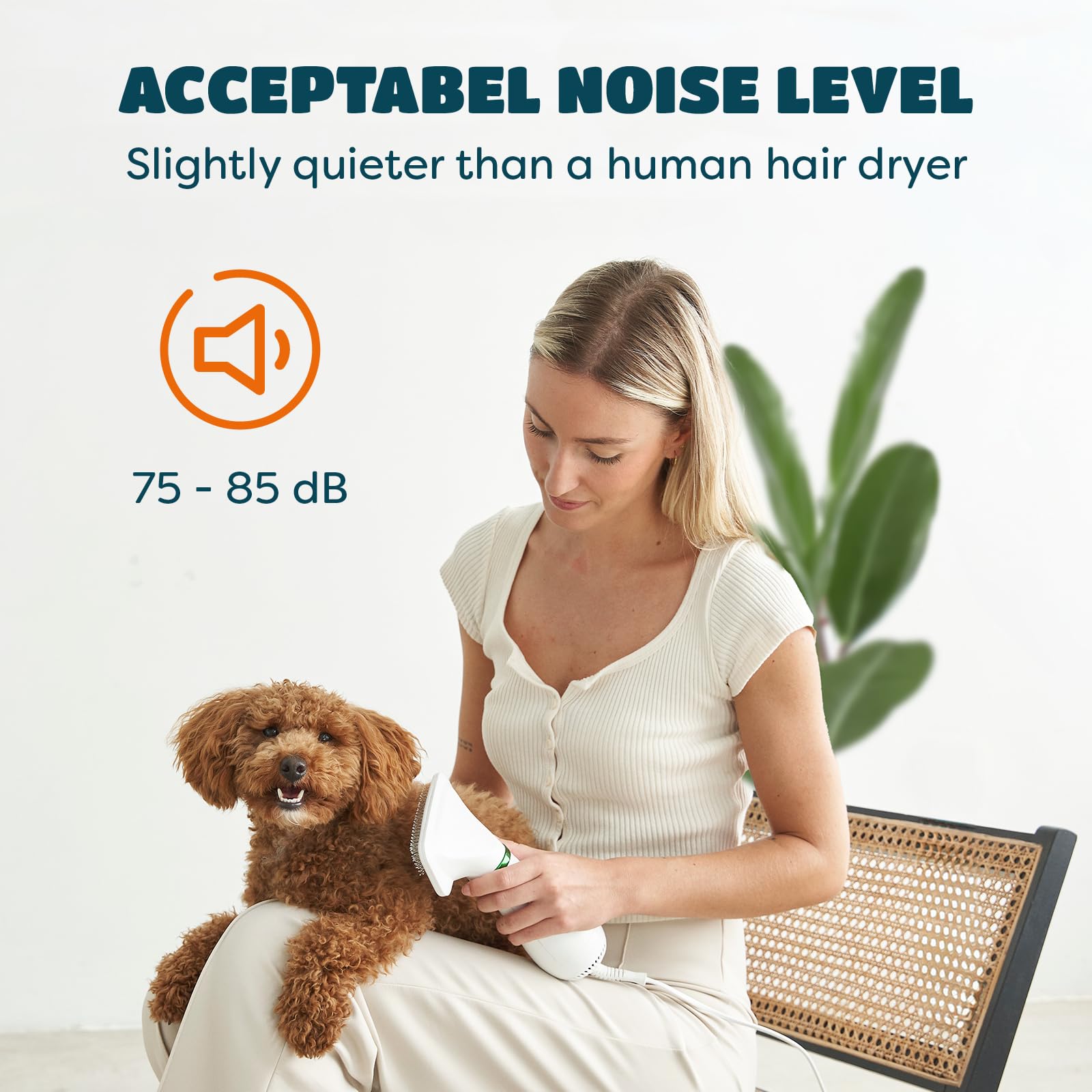 2-In-1 Dog Hair Dryer With Slicker Brush For Small-Sized Dogs And Cats | Pet Hair Dryer | Dog Blow Dryer | 300 Watts, 75-85 Db,