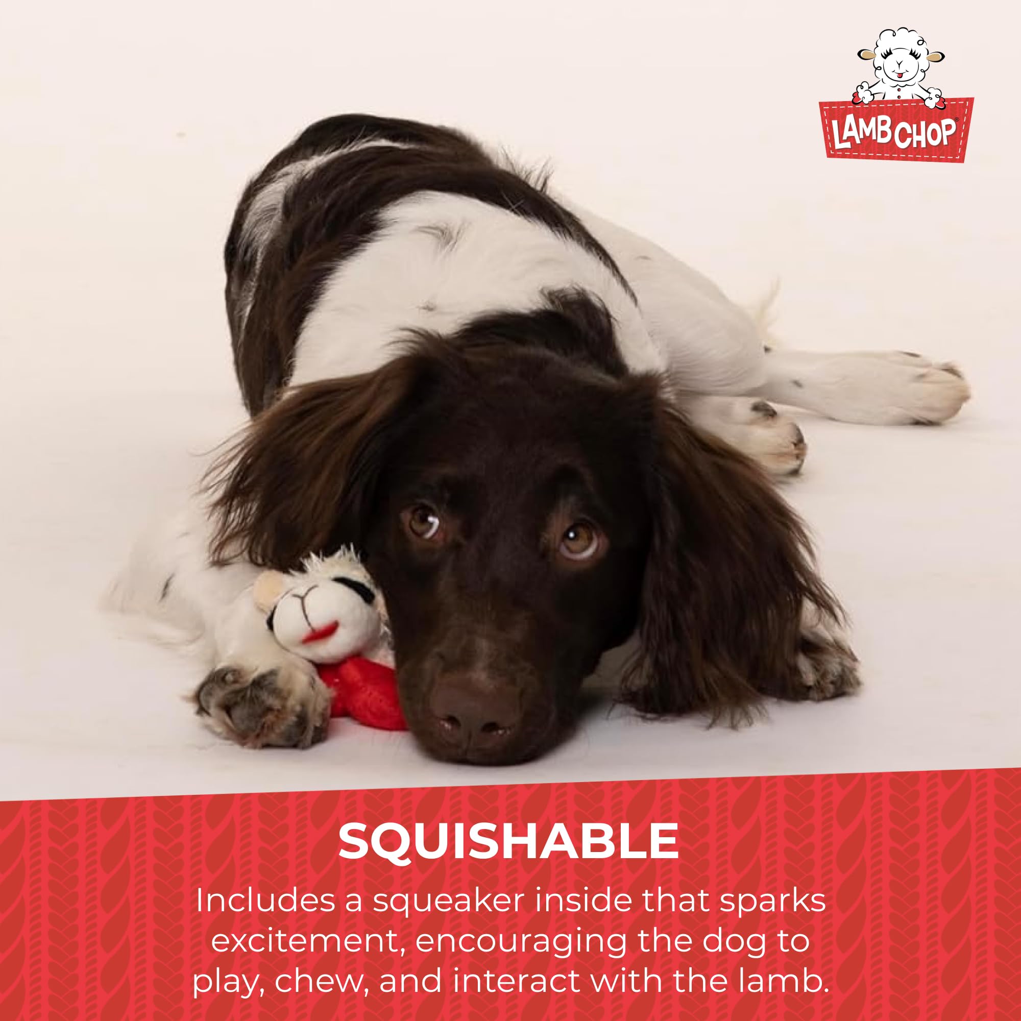 Multipet Lamb Chop Dog Plush Toy - Squeaky Dog Toy for All Dogs - Extra Soft Plush Dog Toy - Stuffed Animal Dog Toy for Cuddling
