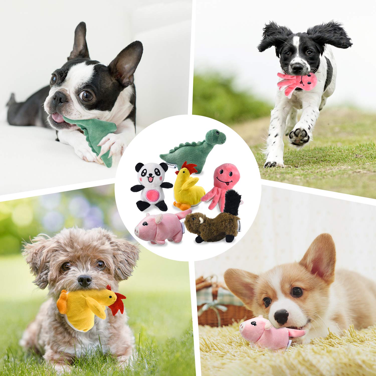 LEGEND SANDY Plush Dog Toy Pack - 6 Squeaky Stuffed Chew Toys for Small Medium Dogs