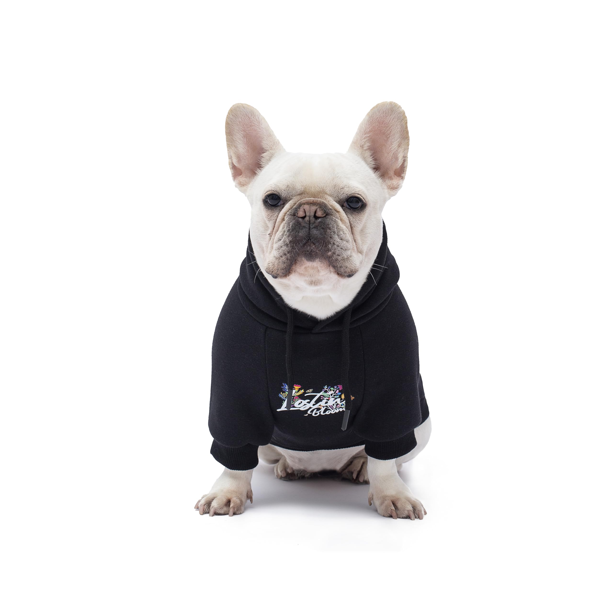 Blooming Teddy Dog Hoodie Dog Clothes Extra Warm Fleece Lining Stretchy Fit For Small Dogs (Black, Medium)