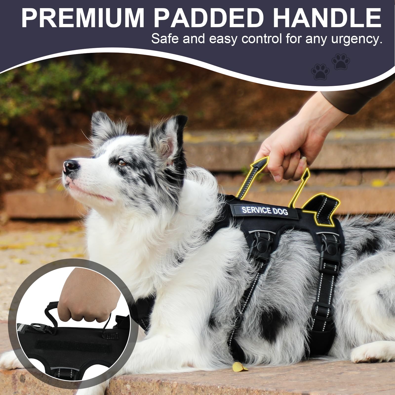 Escape Proof Dog Harness for Large Medium Sized Dogs Six Point Adjustable, Service Dog Vest Harness and Leash Set, No Pull Dogs