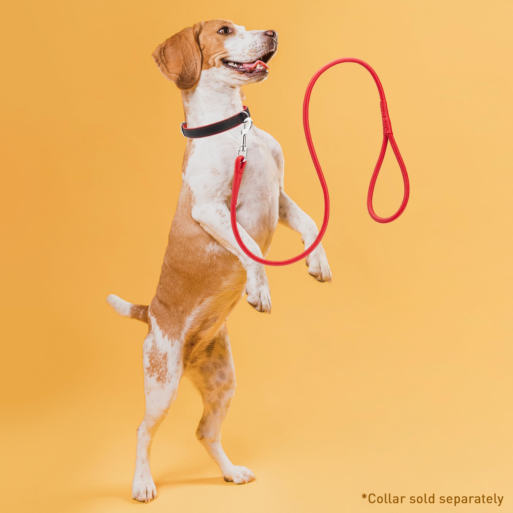 Dogline Soft And Padded Rolled Round Leather Leash For Dogs W1/4' - L72, Red