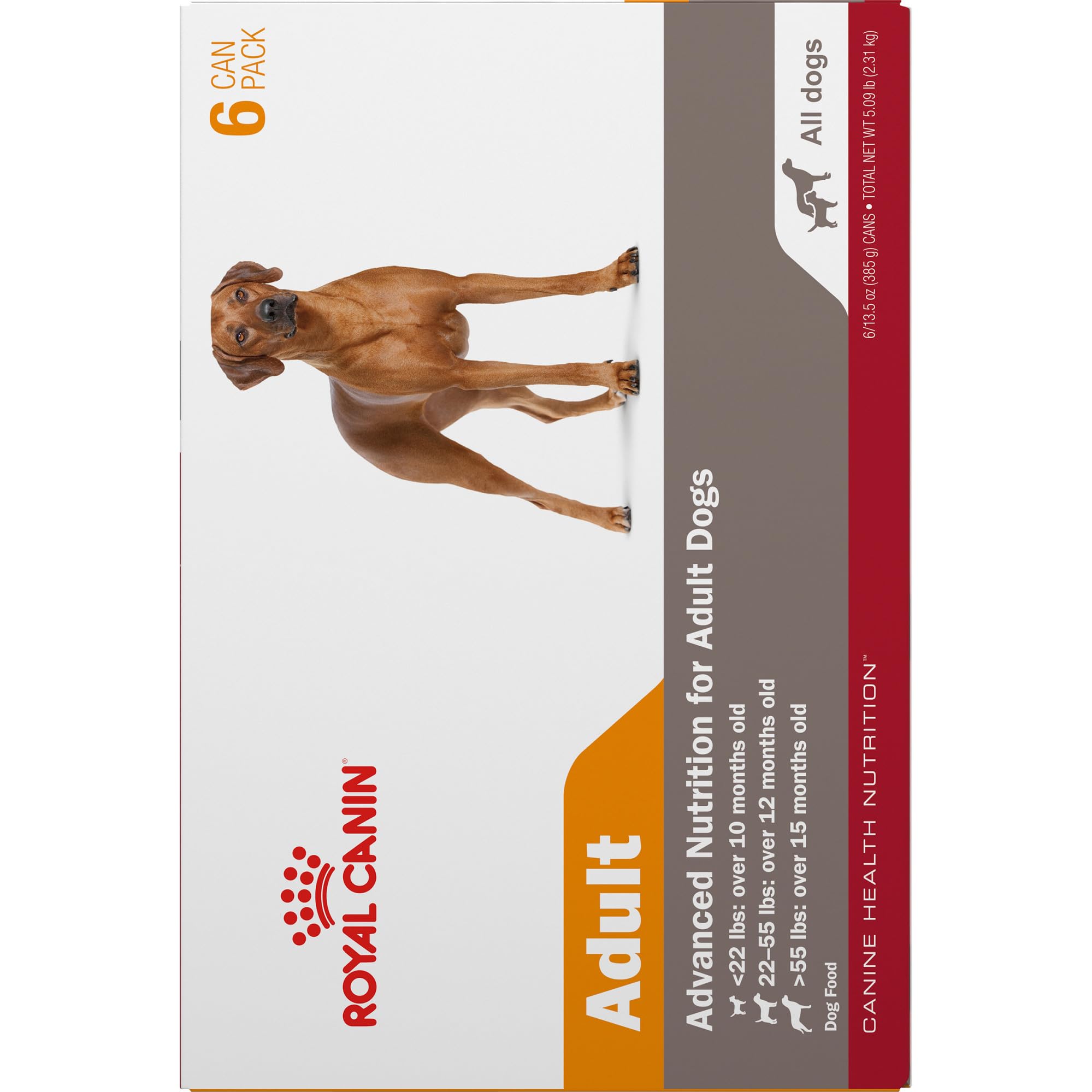 Royal Canin Canine Health Nutrition Adult In Gel Canned Dog Food, 13.5 oz can (6-pack)