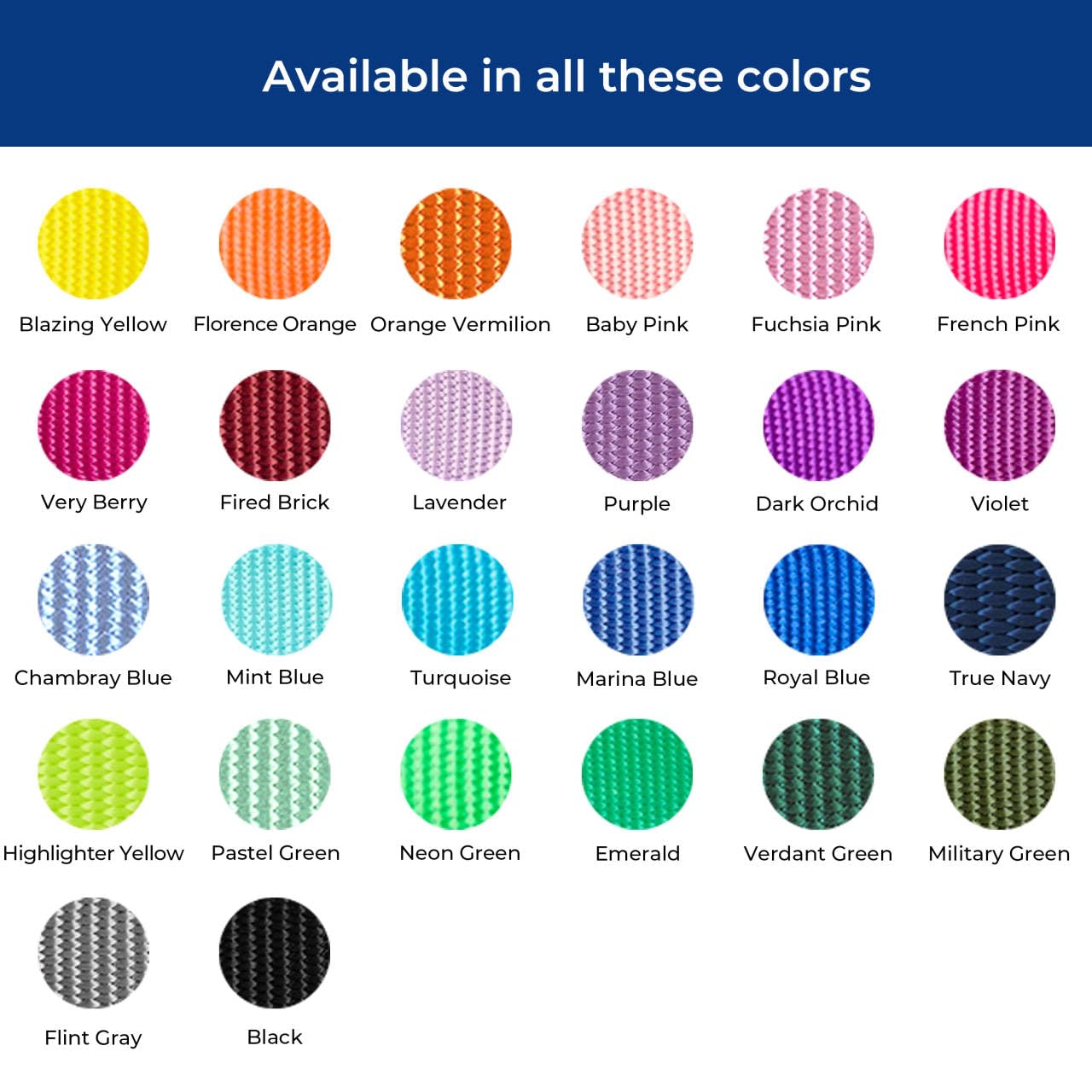 Blueberry Pet Essentials Dog Collar | Adjustable Girl Dog Collars For Medium Dogs | Emerald Puppy Collar | Classic Nylon Dog Col