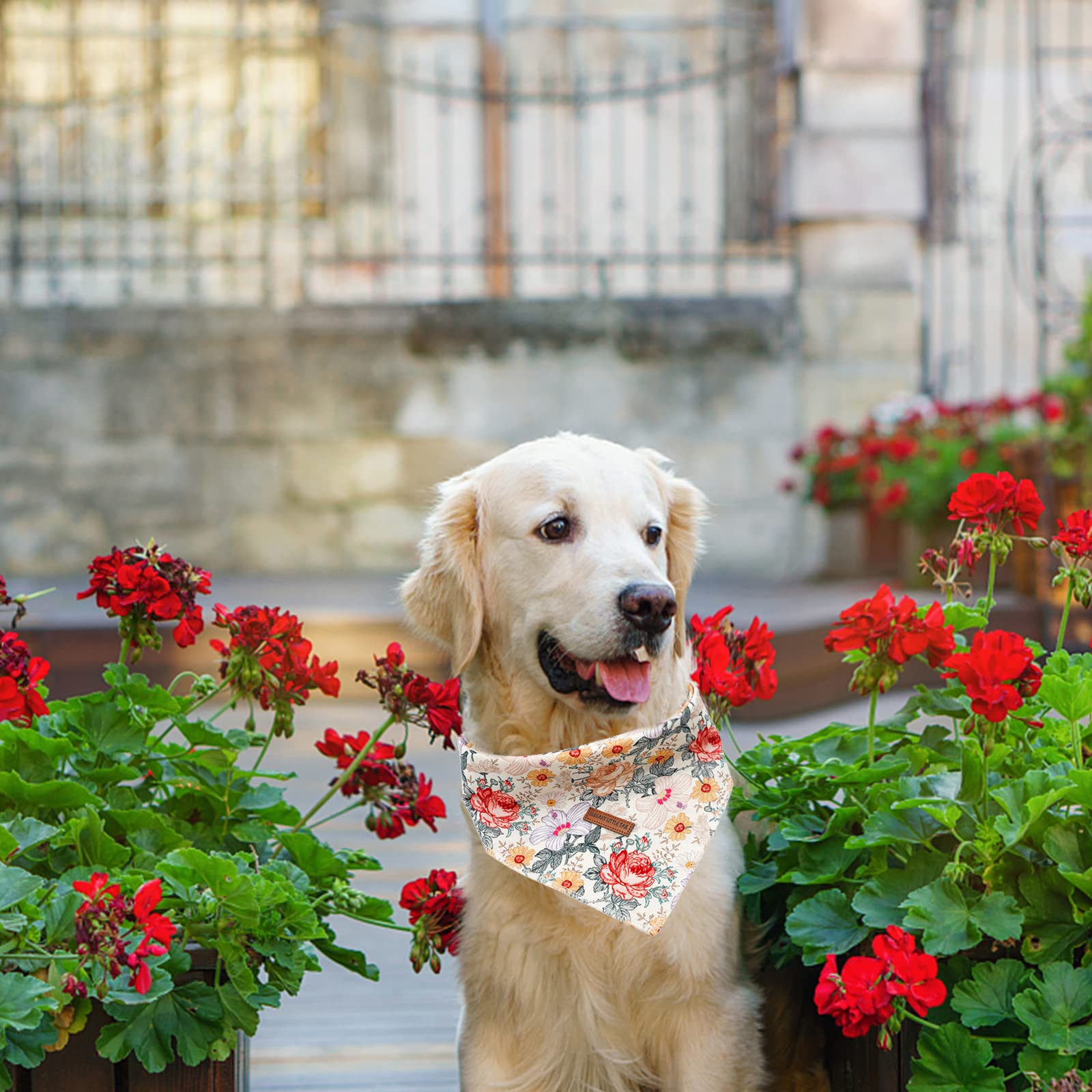 Elegant Little Tail Girl Dog Bandanas - Vintage Flower Pattern Dog Kerchief, Small/Medium/Large, Adjustable, Washable Square Sca
