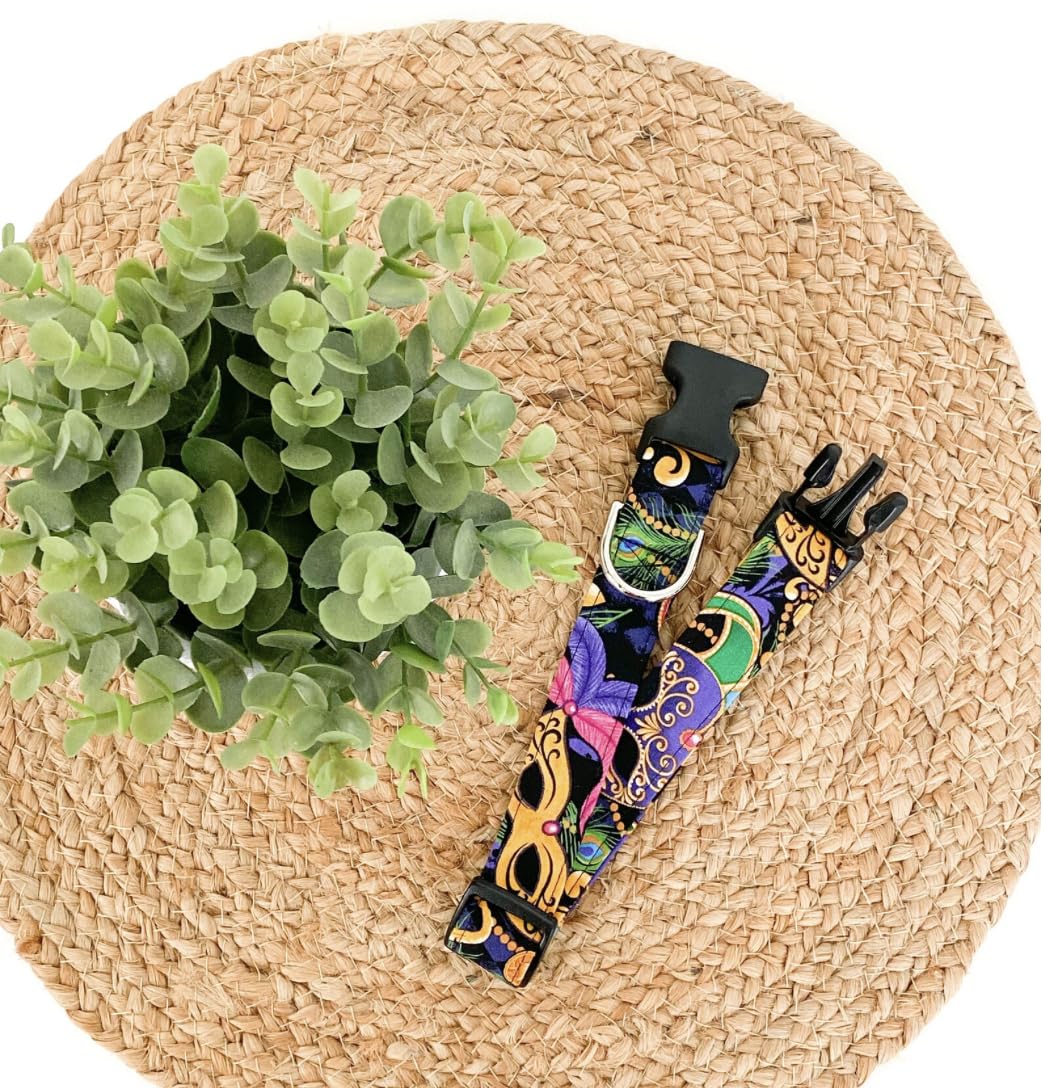 Mardi Gras Dog Collar (Small)