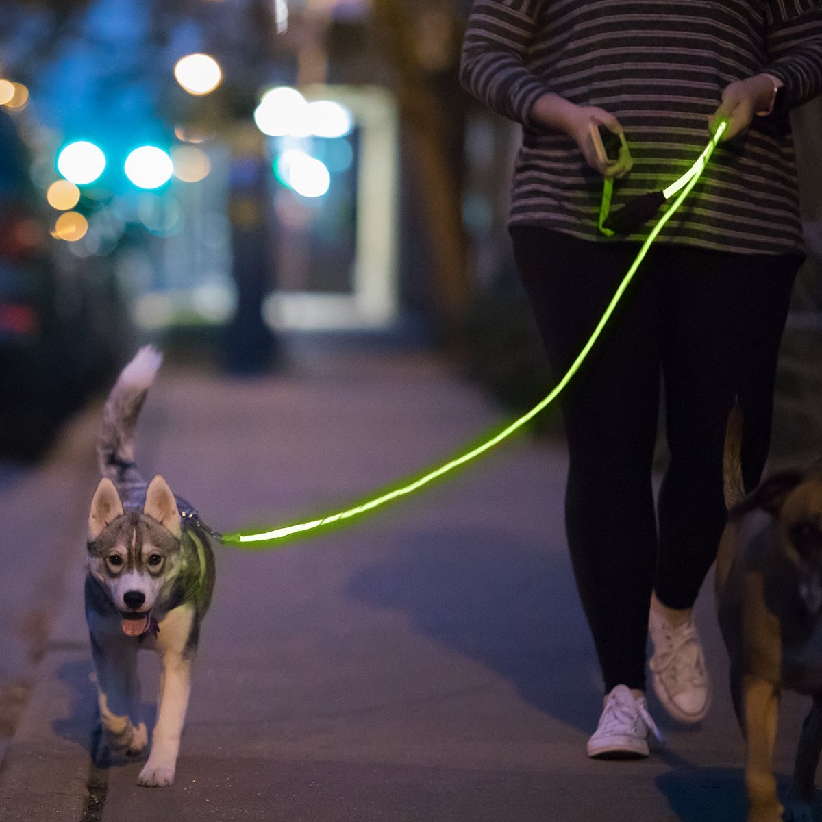 Nitey Leash - Led Glow In The Dark Pet Dog Leash (Green)