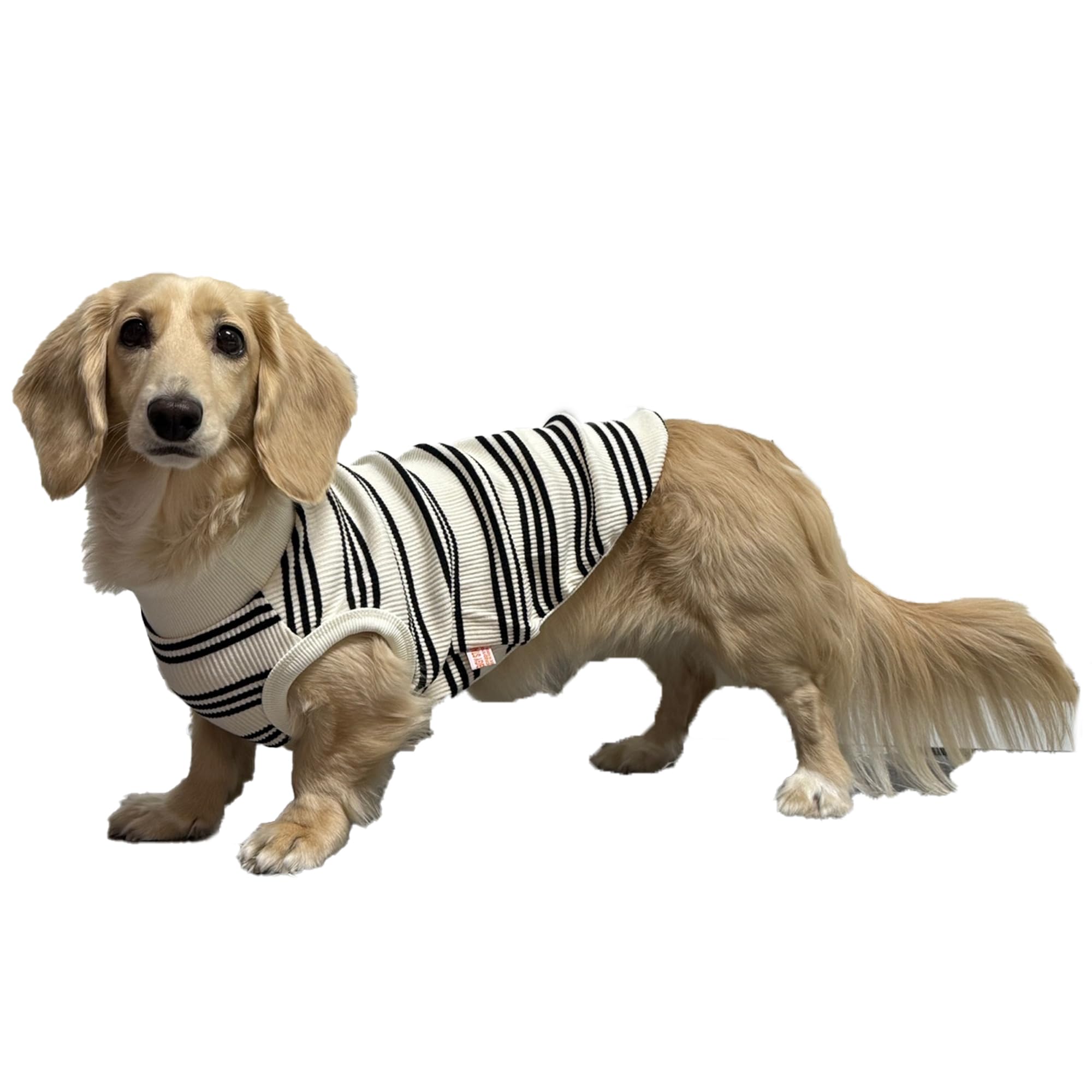 D Doggy Star Dachshund Clothes For Dogs Mini And Adults T Shirts (Xl,Black Stripe)