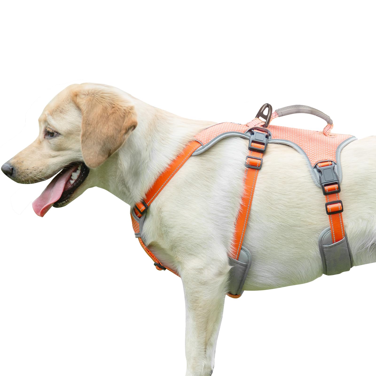 Paworld No Escape Dog Harness, Escape Proof Harness, Fully Reflective Harness With Padded Handle, Breathable,Durable, Adjustable Vest For Medium Dogs Walking, Training, And Running Gear (Orange, Xl)