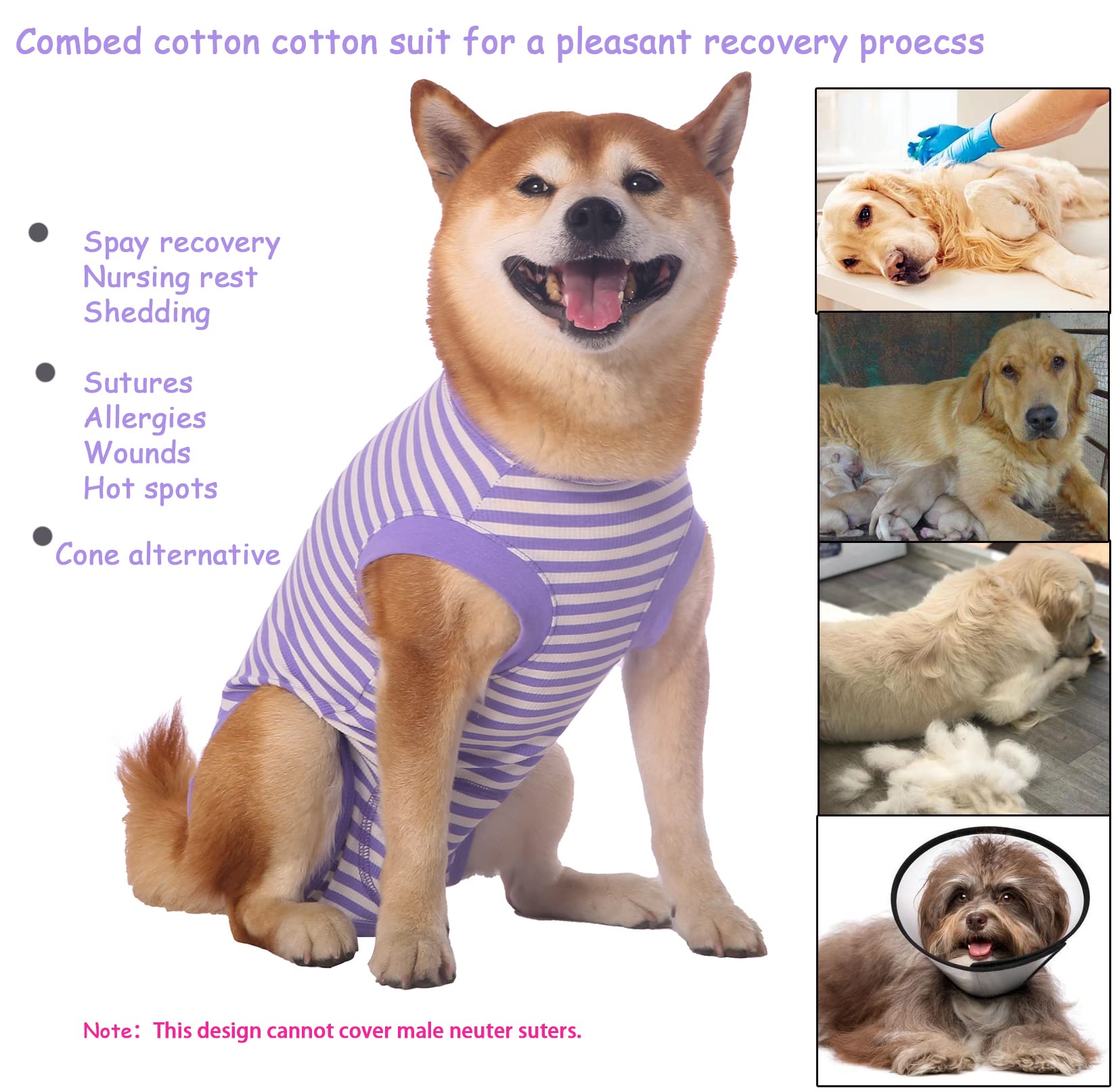 Sychien Dog Recovery Suit Small,Female Spay Male Surgery Recovery Shirt,Soft Combed Cotton Surgical Cat Dogs Suit,Xs Purple-Whit