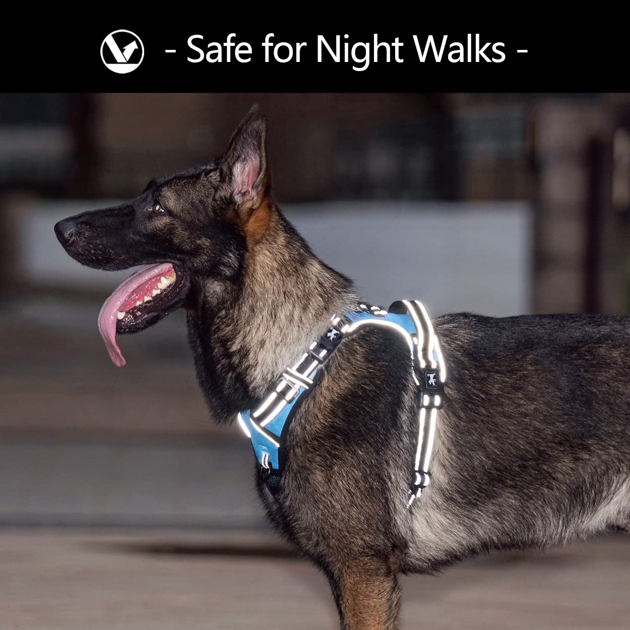 Poypet Dog Harness No Pull, Reflective With Front & Back 2 Leash Hooks And An Easy Control Handle Pet Harness For Puppy Small Dog, Adjustable Soft Padded Vest Harness(Blue,S)