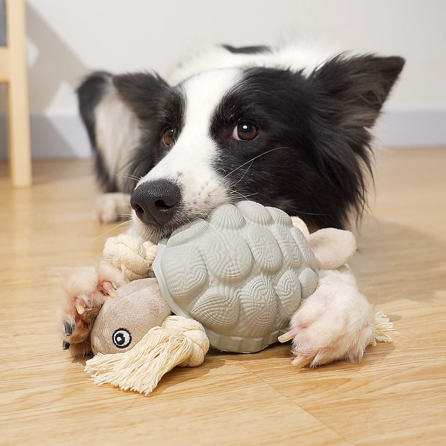 Sedioso Dog Toy Large Breed, Dog Rubber Turtle Toy, Dog Treat Dispensing Toy, Dog Squeaky Toy, Aggressive Dog Chew Toy for Middl