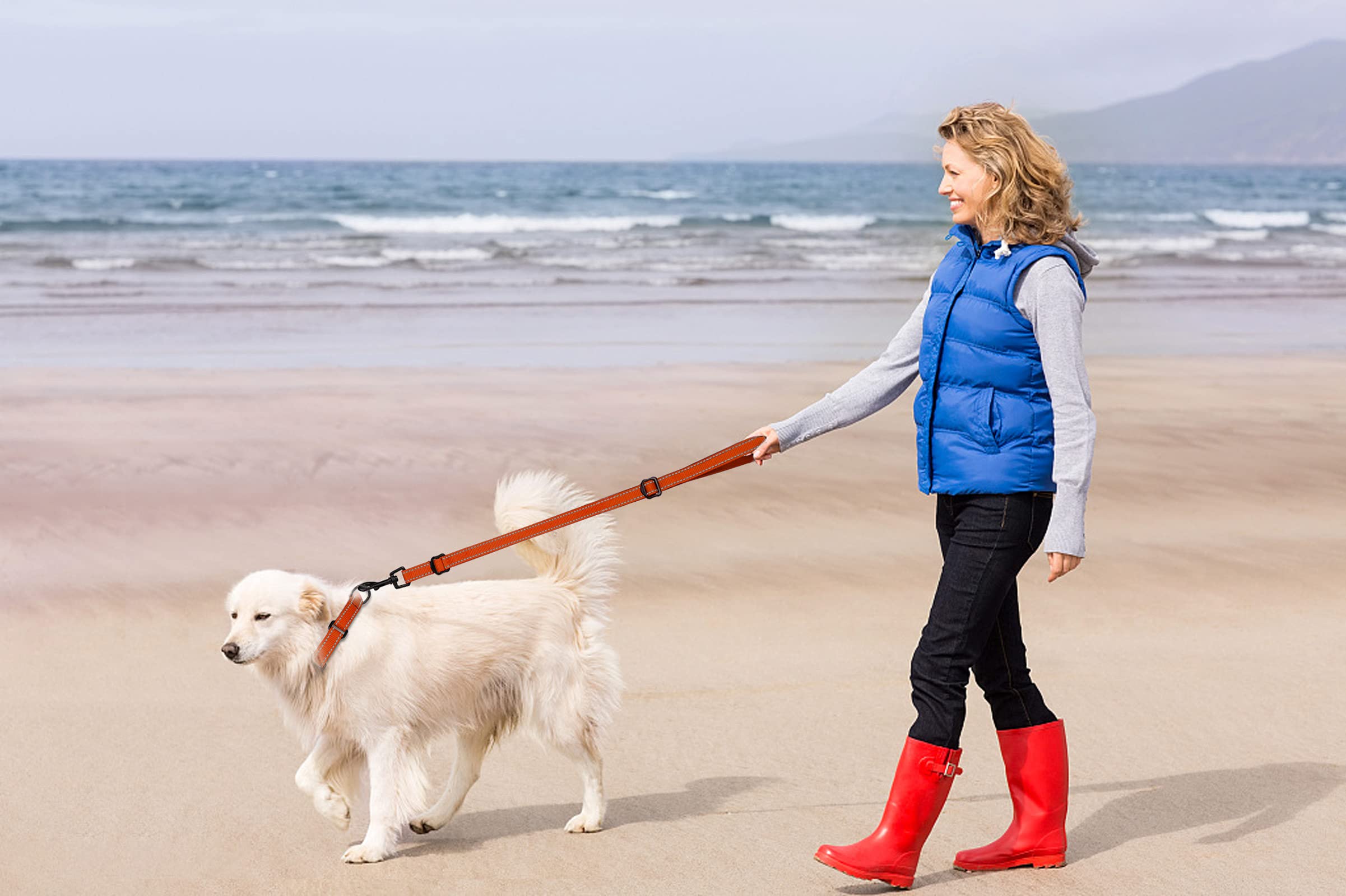 Martingale Dog Collar And Leash Set Martingale Collars For Dogs Reflective Martingale Collar For Small Medium Large Dogs(Orange&