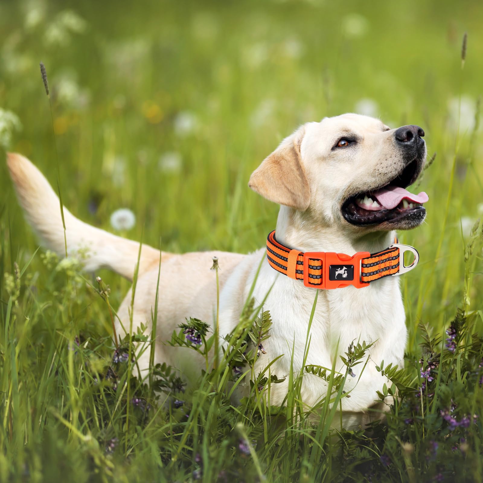 Onefojojo Large Reflective Dog Collar,Adjustable Soft Neoprene Breathable Quick Release Basic Dog Collars For Medium Large Extra