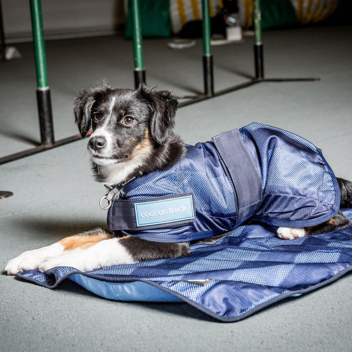 Back On Track Cool On Track Cooling Dog Coat (S2, 40Cm / 14-16.5'')