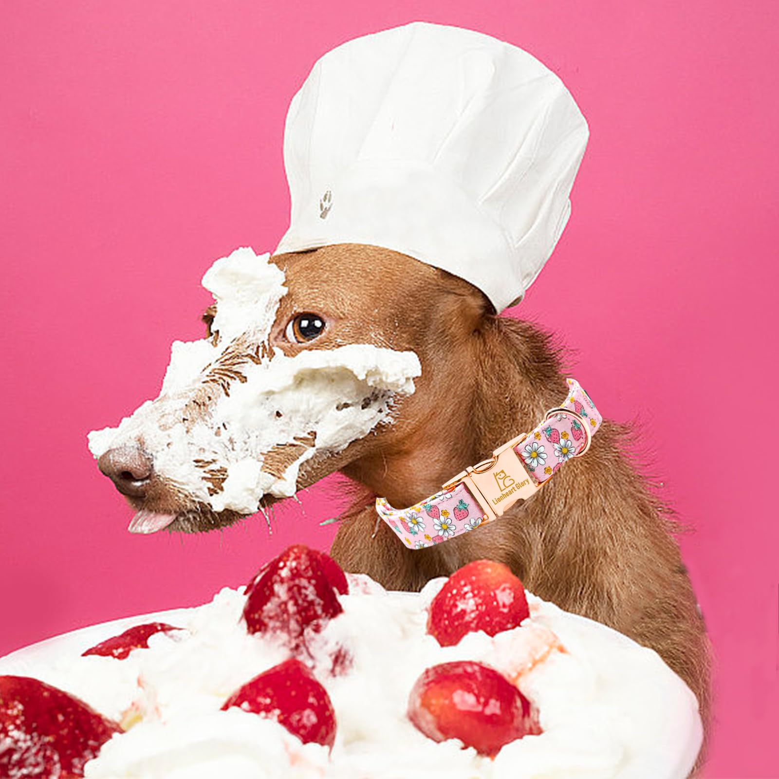 Lionheart Glory Dog Collar Pink Dogs Collar Spring Summer Cute Collars Dog Female Soft Durable Adjustable Dog Collars For Small