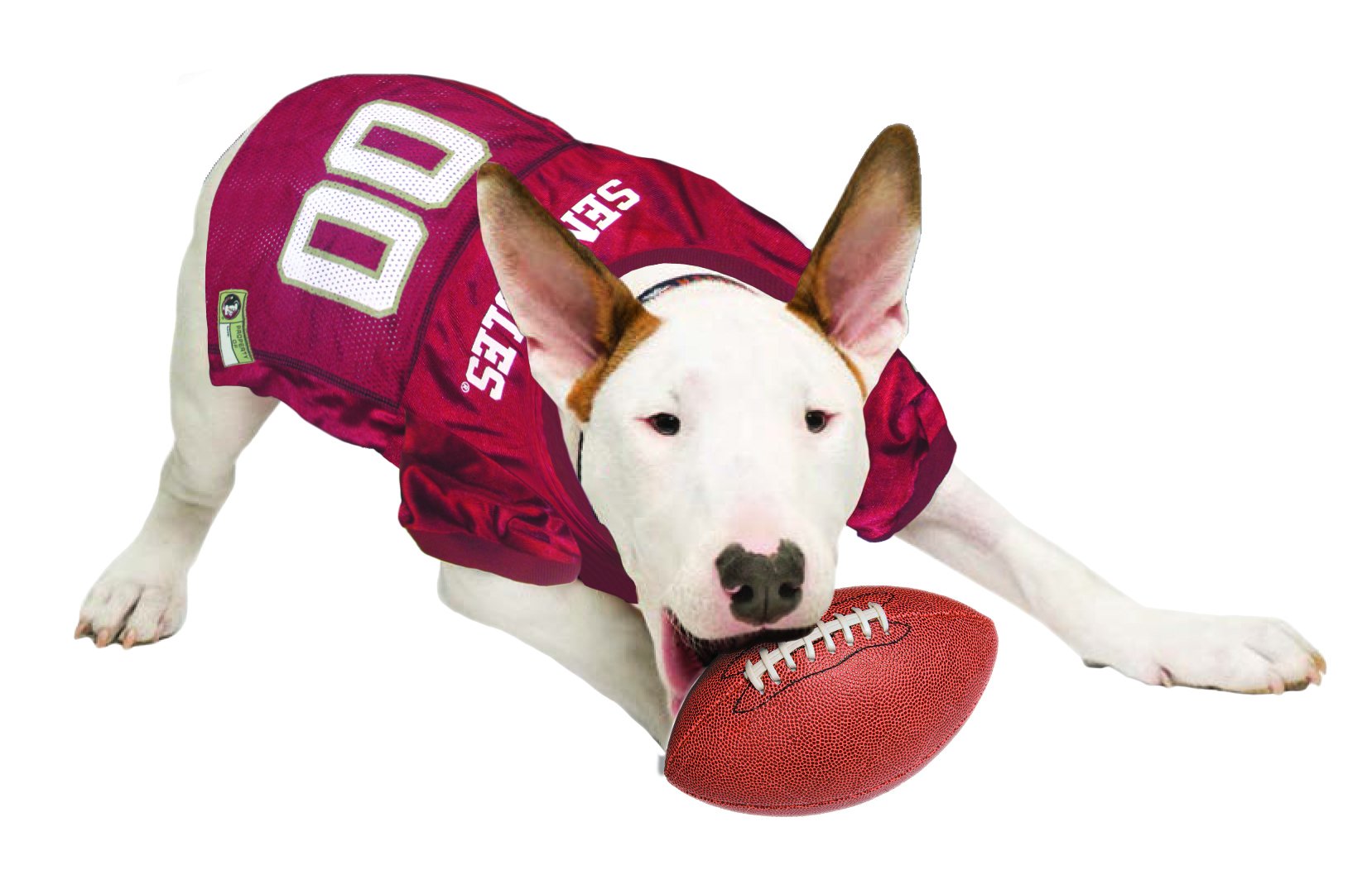 Pets First NCAA College Florida State Seminoles Mesh Jersey for DOGS & CATS, XX-Large. Licensed Dog Jersey with your Favorite Fo