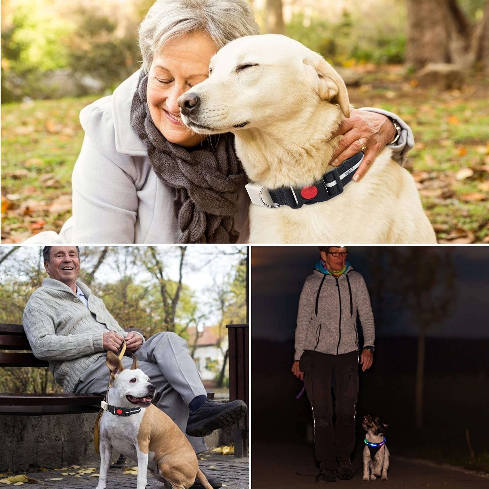 Yushang Led Dog Collar,The Newest Special Waterproof Design Led Rechargeable Dog Collar,Light Up Collar Suitable Large Medium Dog Safe At Night (Black)