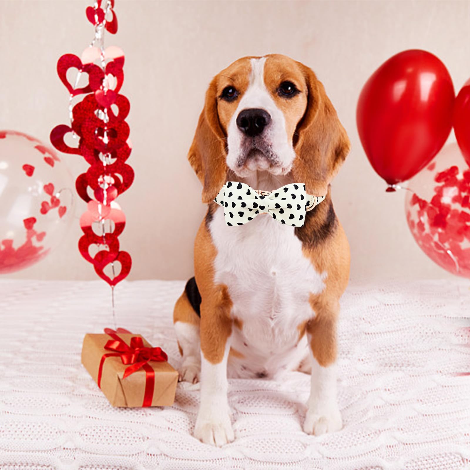 Lionheart Glory Dog Bow Collar Valentine'S Day Dog Collar For X-Small Dogs Hearts Print Dog Collar With Bowtie Spring Dog Collar