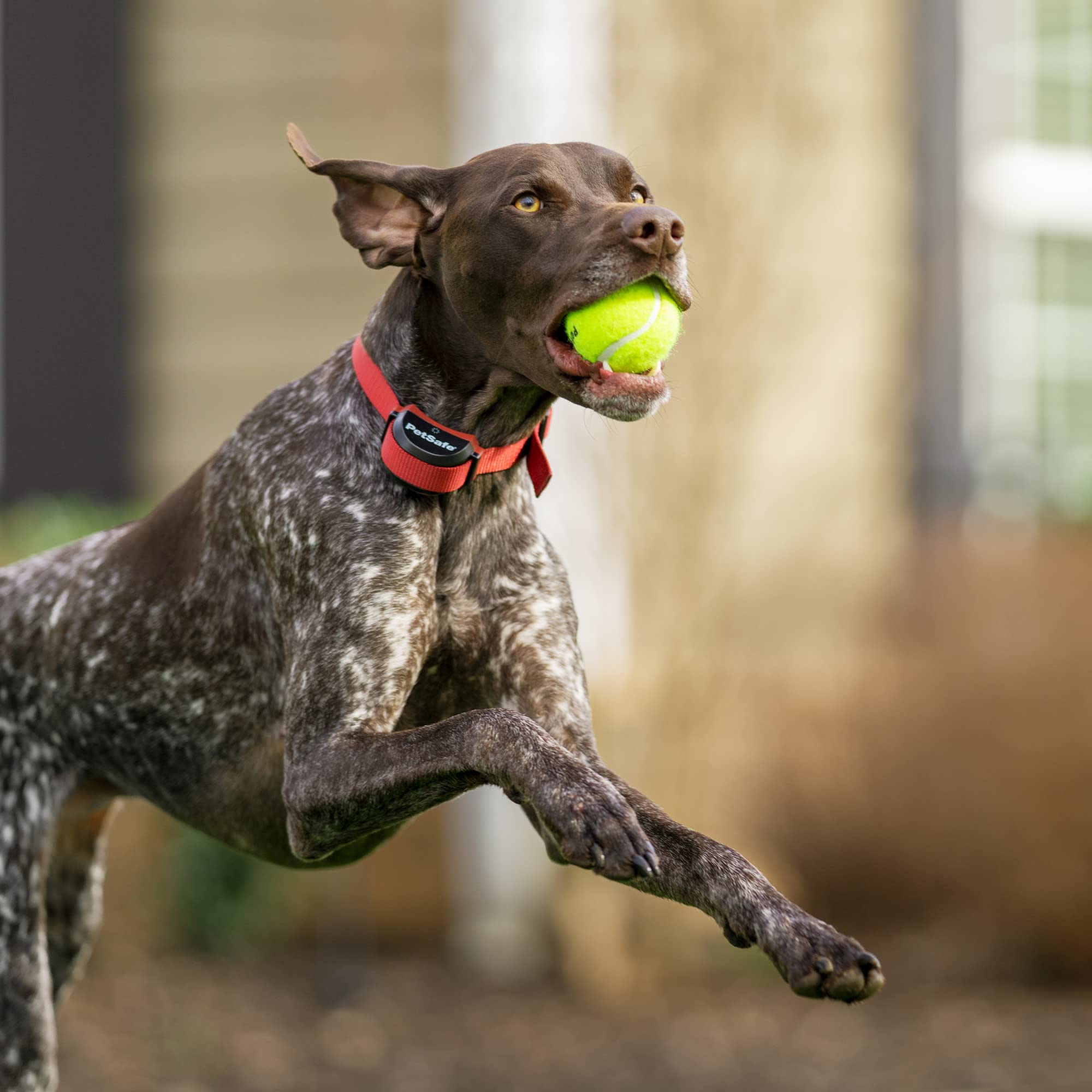 Petsafe 3/4 Replacement Collar Strap With No Holes, For Petsafe Bark, Wireless Fence, In-Ground Fence And Pawz Away Collars - Ru