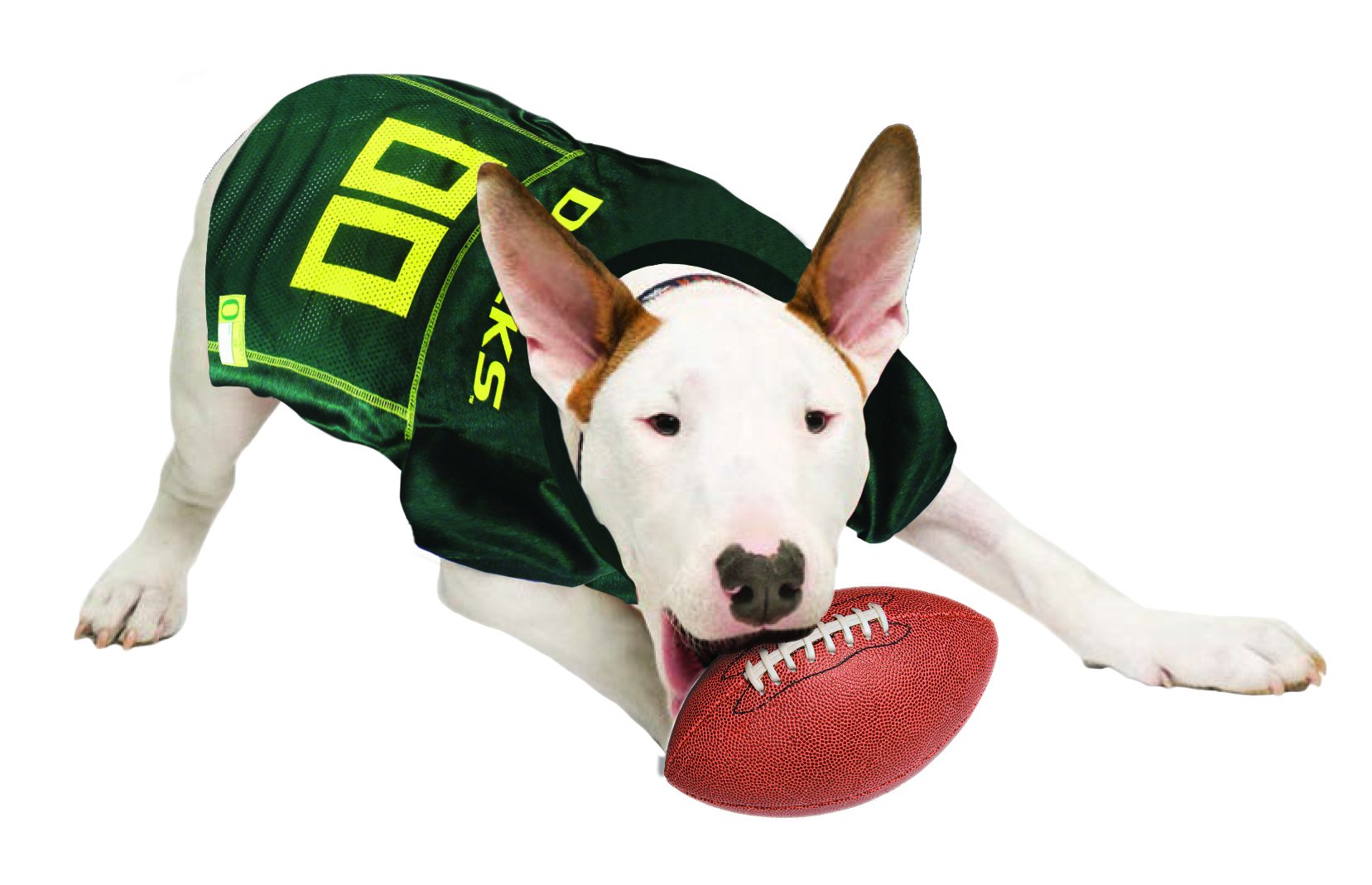 Pets First NCAA College Oregon Ducks Mesh Jersey for DOGS & CATS, Large. Licensed Dog Jersey with your Favorite Football/Basketb