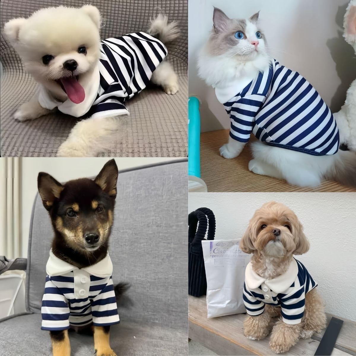 Manon Rosa Cute Dog Clothes Boy Polo Shirt For Small Medium Dogs - Summer Male Puppy T Shirts For Yorkie Poodle Shih Tzu Dachshu