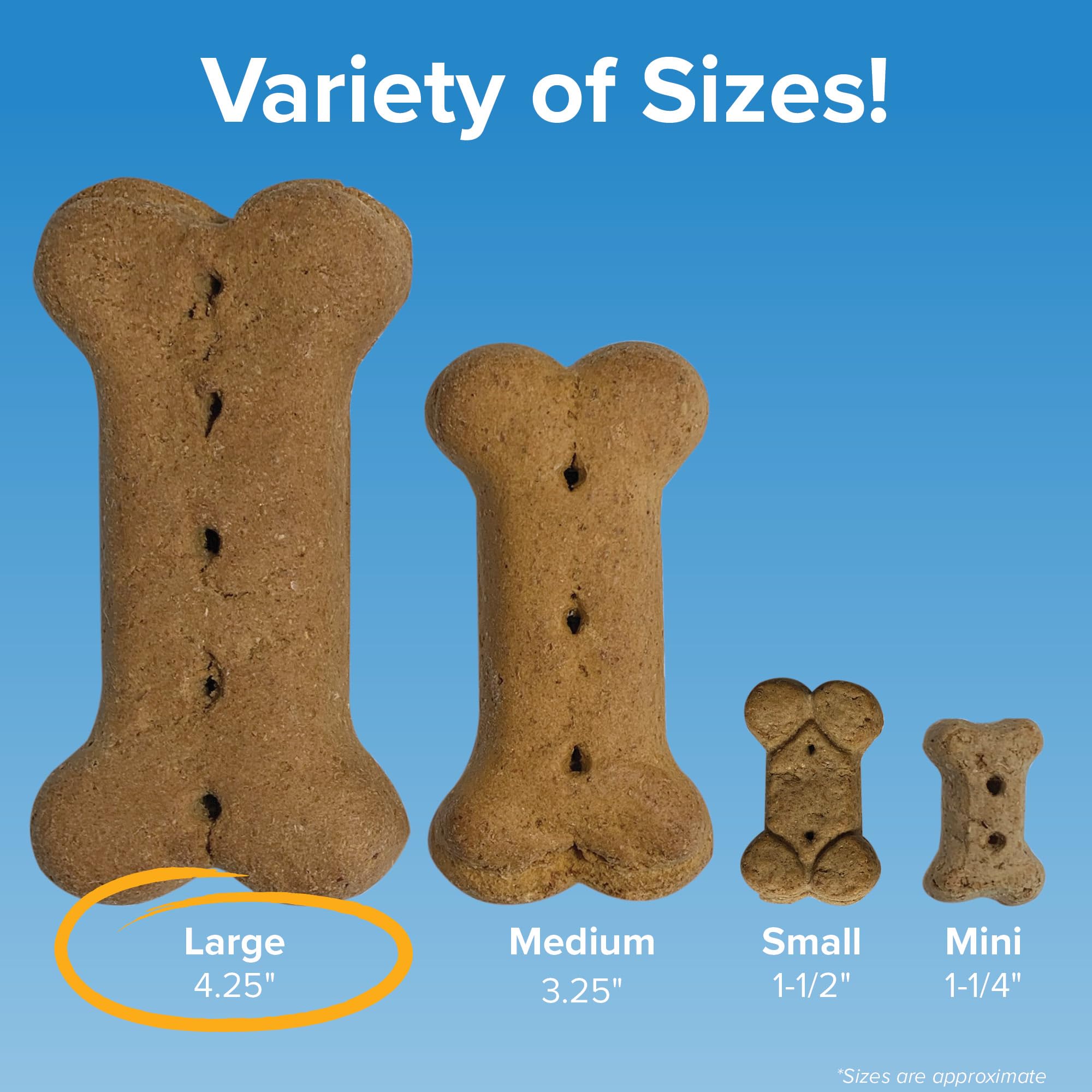 Blue Seal Kent Entrust Crunchers - Large Dog Treats, Original Recipe - Crunchy Oven Baked Biscuits with Premium Ingredients, Hea