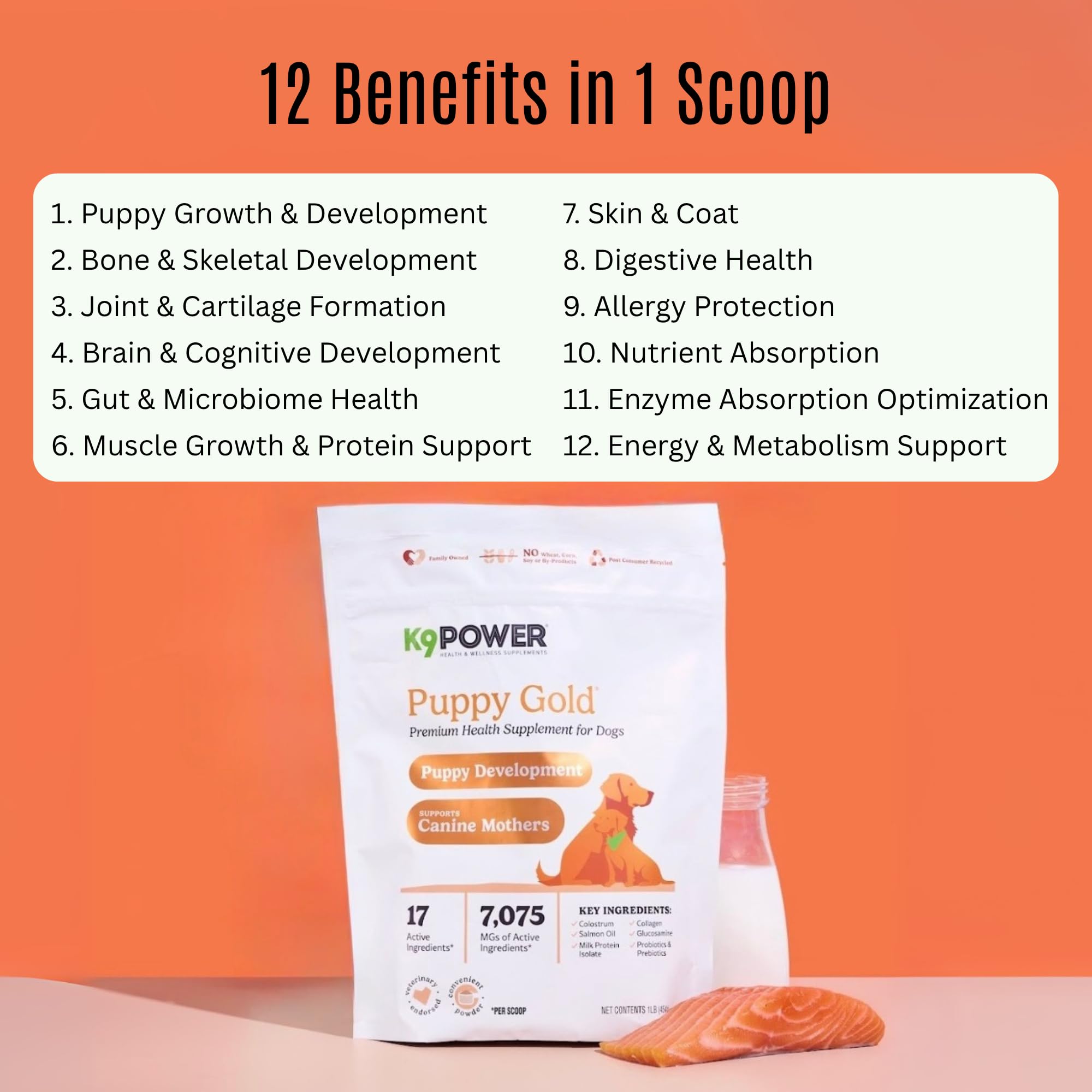 K9 Power Puppy Gold 1 lb - Supplement for Growing Puppies & Nursing Mothers - Essential Nutrients for Healthy Growth & Developme
