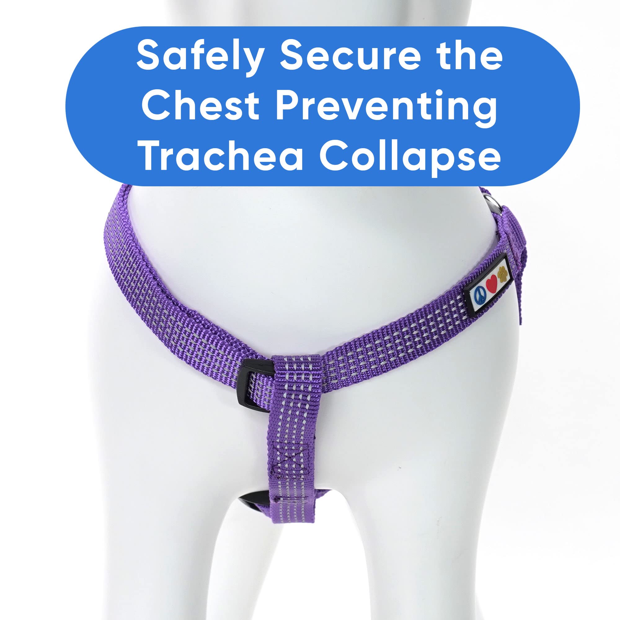 Pawtitas Dog Harness Medium Sized Dog Purple Dog Harness Step in from a Senior Dog to a Puppy Harness Adjustable Reflective Dog