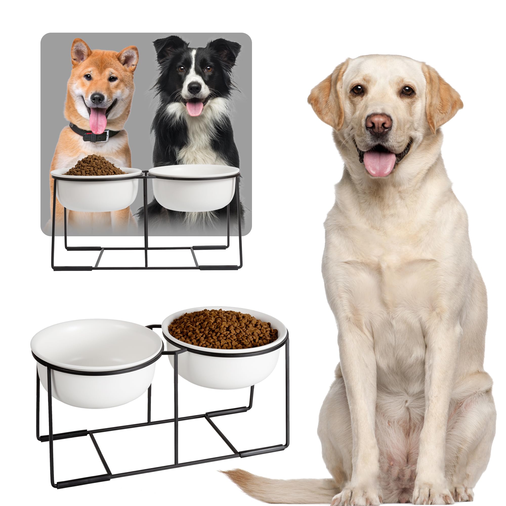 Ceramic Elevated Dog Bowl Set - Raised Double Feeding Bowls With Metal Stand - Pet Dishes For Medium And Large Dogs - 3.5 Cups -
