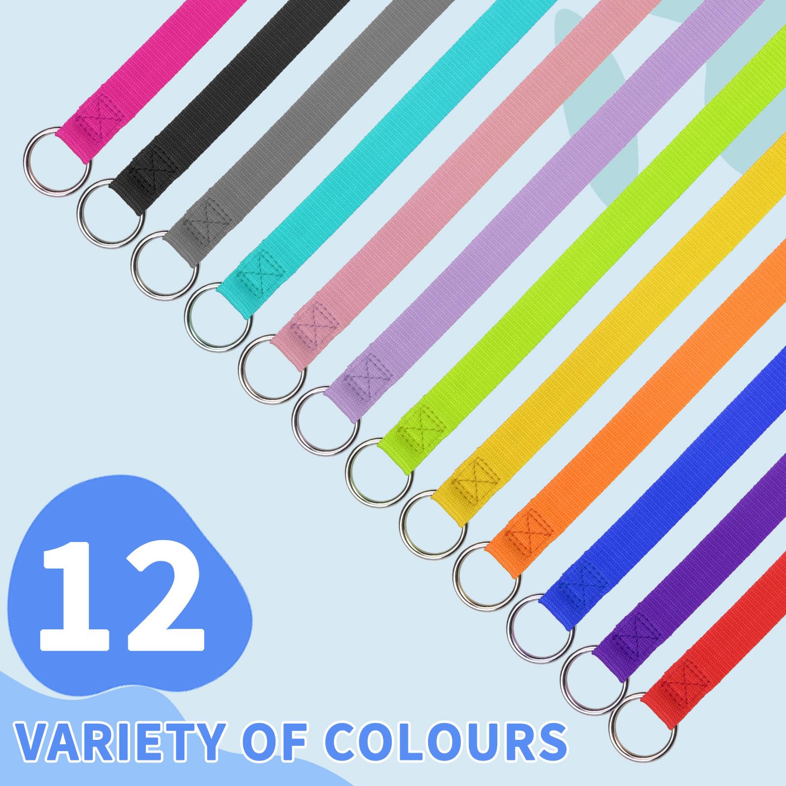 Homimp Slip Lead Dog Leash 6 Ft- 12 Pcs Bulk Colors Kennel Control Leashes For Small Medium Large Dogs Puppy Animal Rescue, Groo