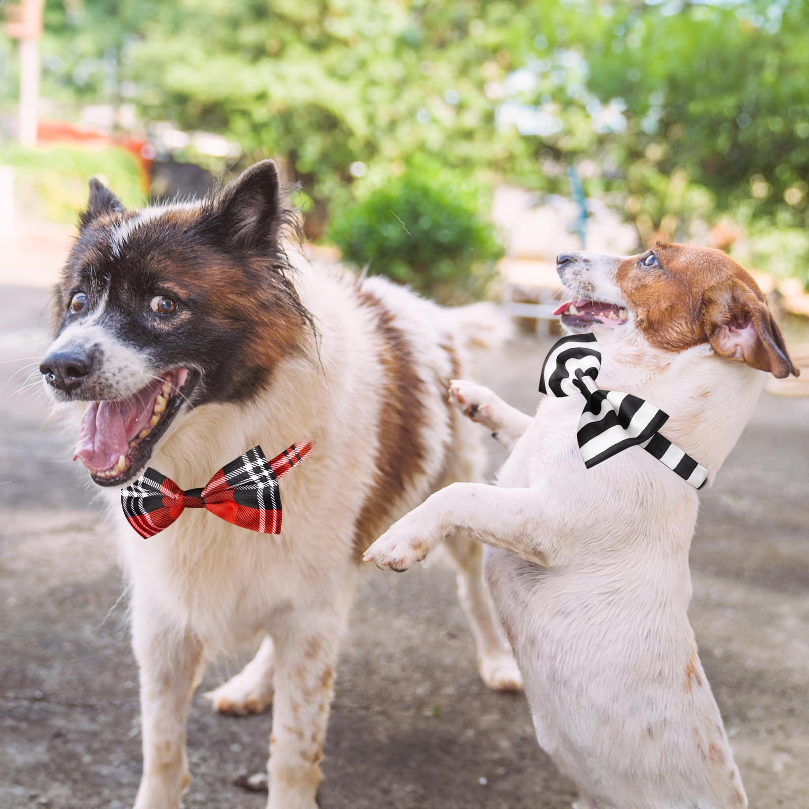 Dog Bow Ties, 40 Pcs Segarty Pet Neck Bows, Bulk Pet Bowties With Adjustable Collar, Grooming Bowknot For Christmas Birthday Holiday Valentine Party Dog Photography Accessories Gift For Puppy Dogs Cat