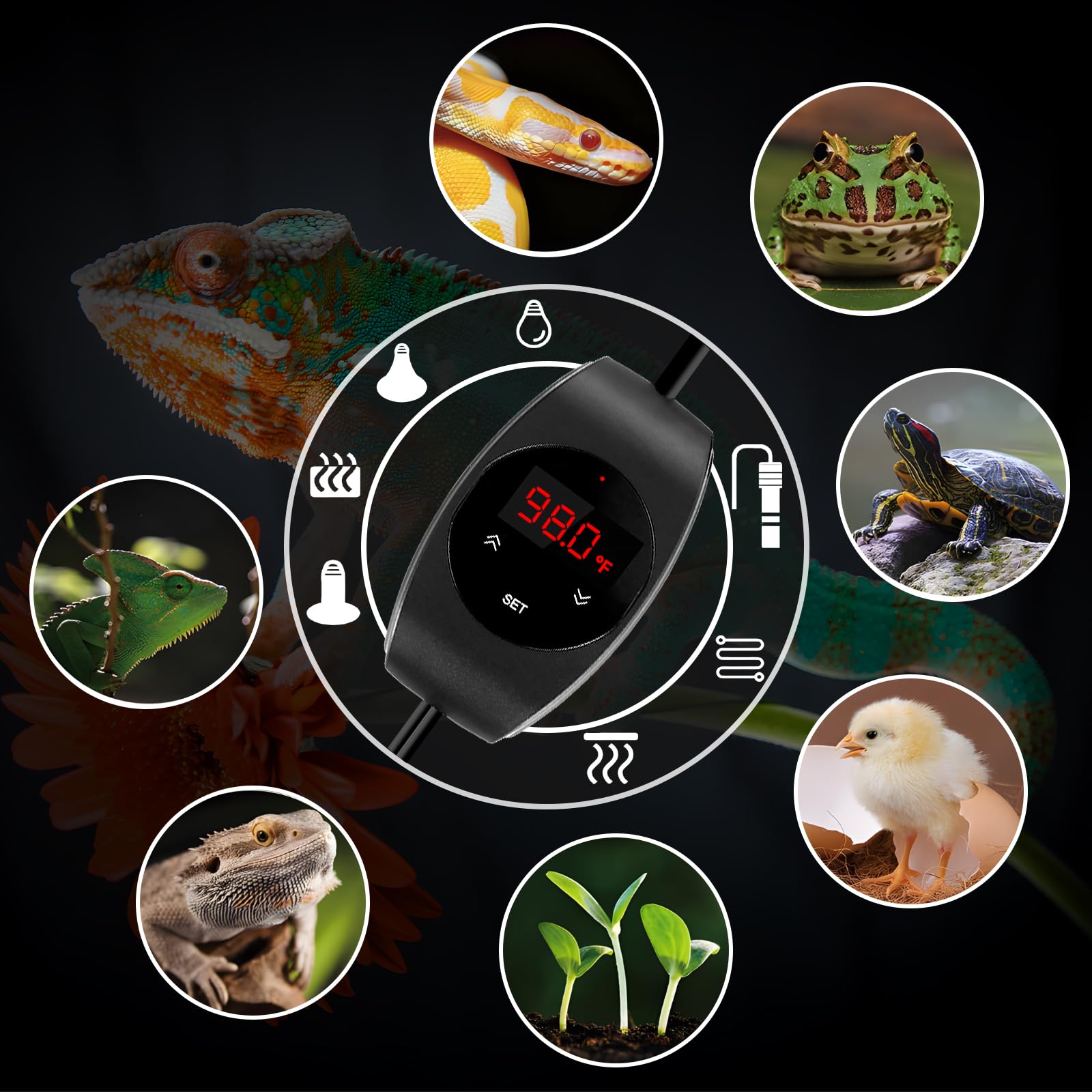 Xfp Reptile Dimming Thermostat Heat Lamp Temperature Controller For Seed Germination, Reptiles And Brewing Breeding Incubation G