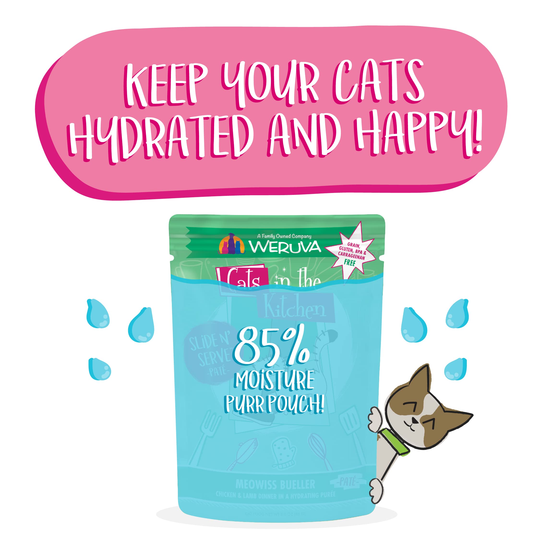 Weruva Cats in The Kitchen Slide N Serve Grain-Free Natural Wet Pate Cat Food Pouches, Meowiss Bueller, 3oz Pouch (Pack of 12)