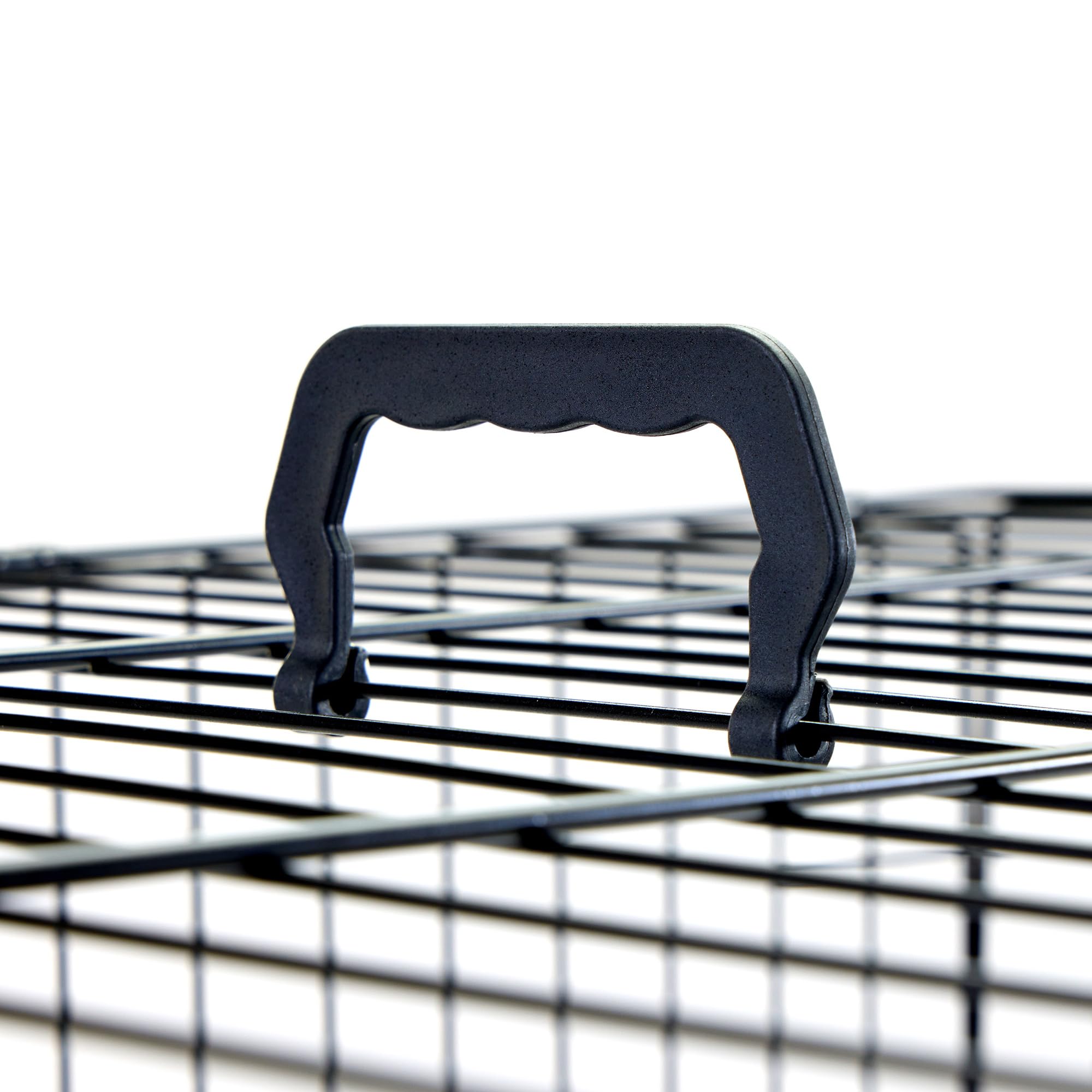 Carlson Pet Products Secure And Foldable Single Door Metal Dog Crate, Medium,Black