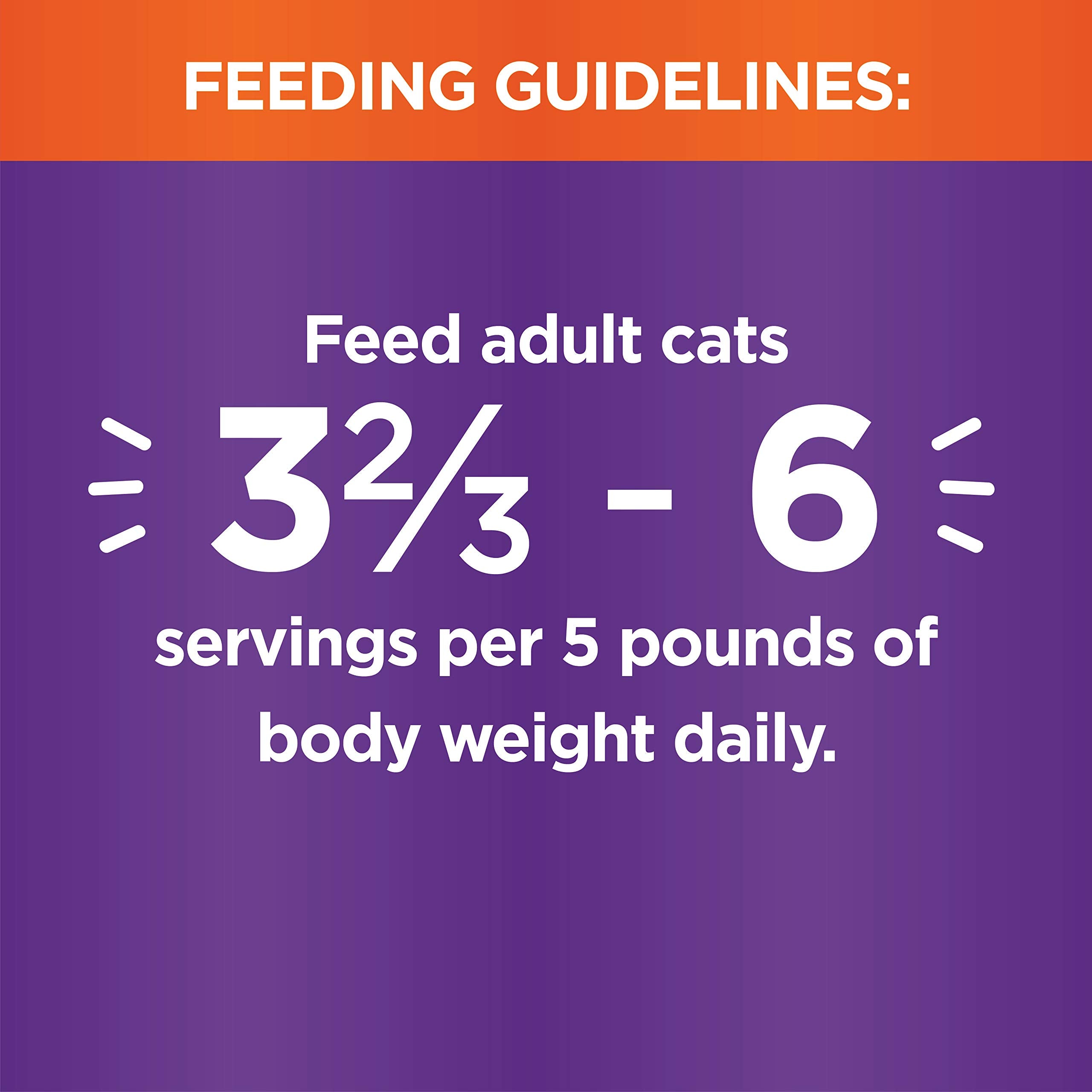 IAMS Perfect Portions Healthy Kitten Grain Free Wet Cat Food Pat  , Chicken Recipe, 2.6 oz. Easy Peel Twin-Pack Trays (24 Count,