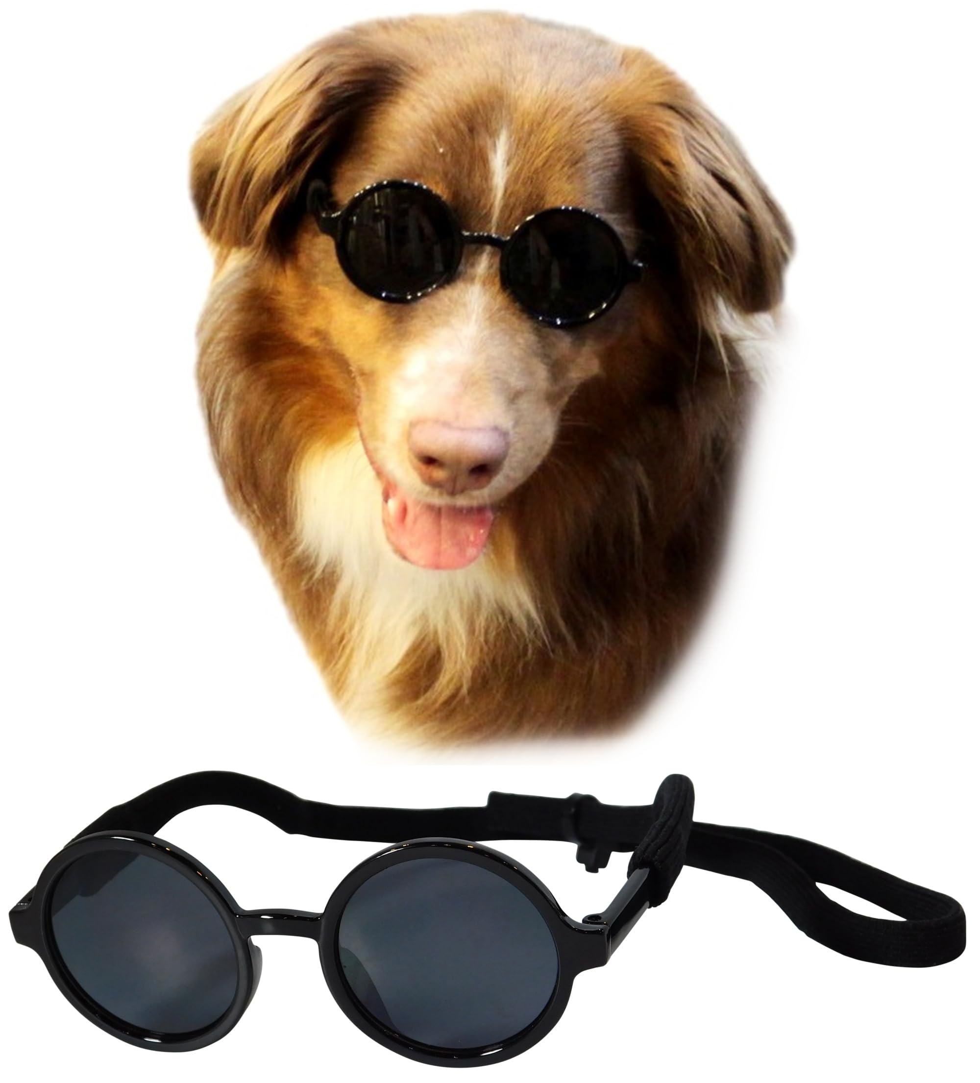 G001 Medium Breeds 20-40 Lbs Dog Cat Pet Costume Prop Round Sunglasses (Black)