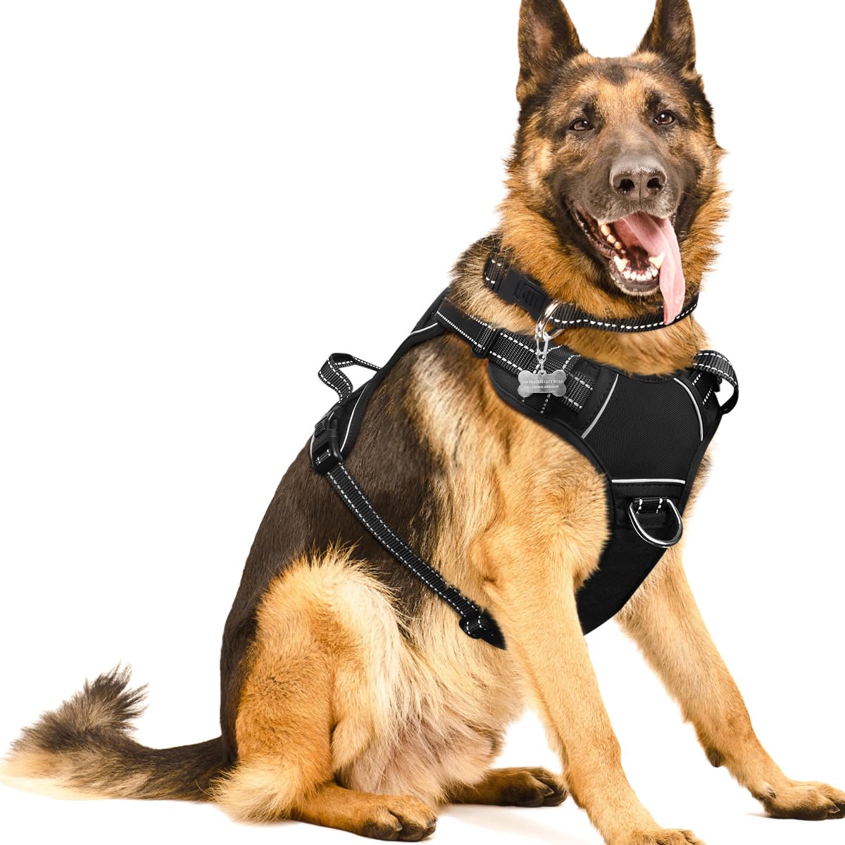 Winsee Dog/Pet Harnesses No Pull With Dog Collar, Adjustable Reflective Oxford Outdoor Vest, Front/Back Leash Clips For Small, M